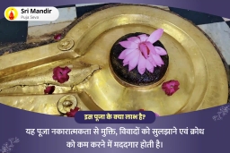 puja-gallery-image