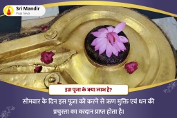 puja-gallery-image