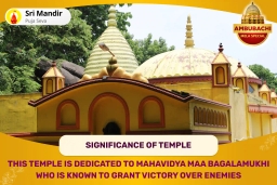 puja-gallery-image