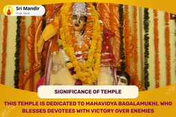 puja-gallery-image