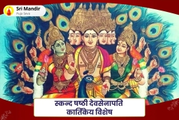 puja-gallery-image