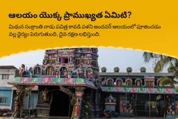 puja-gallery-image