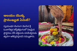 puja-gallery-image