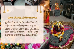 puja-gallery-image