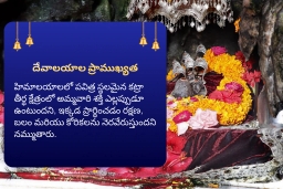 puja-gallery-image