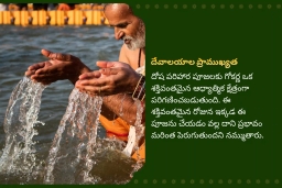 puja-gallery-image