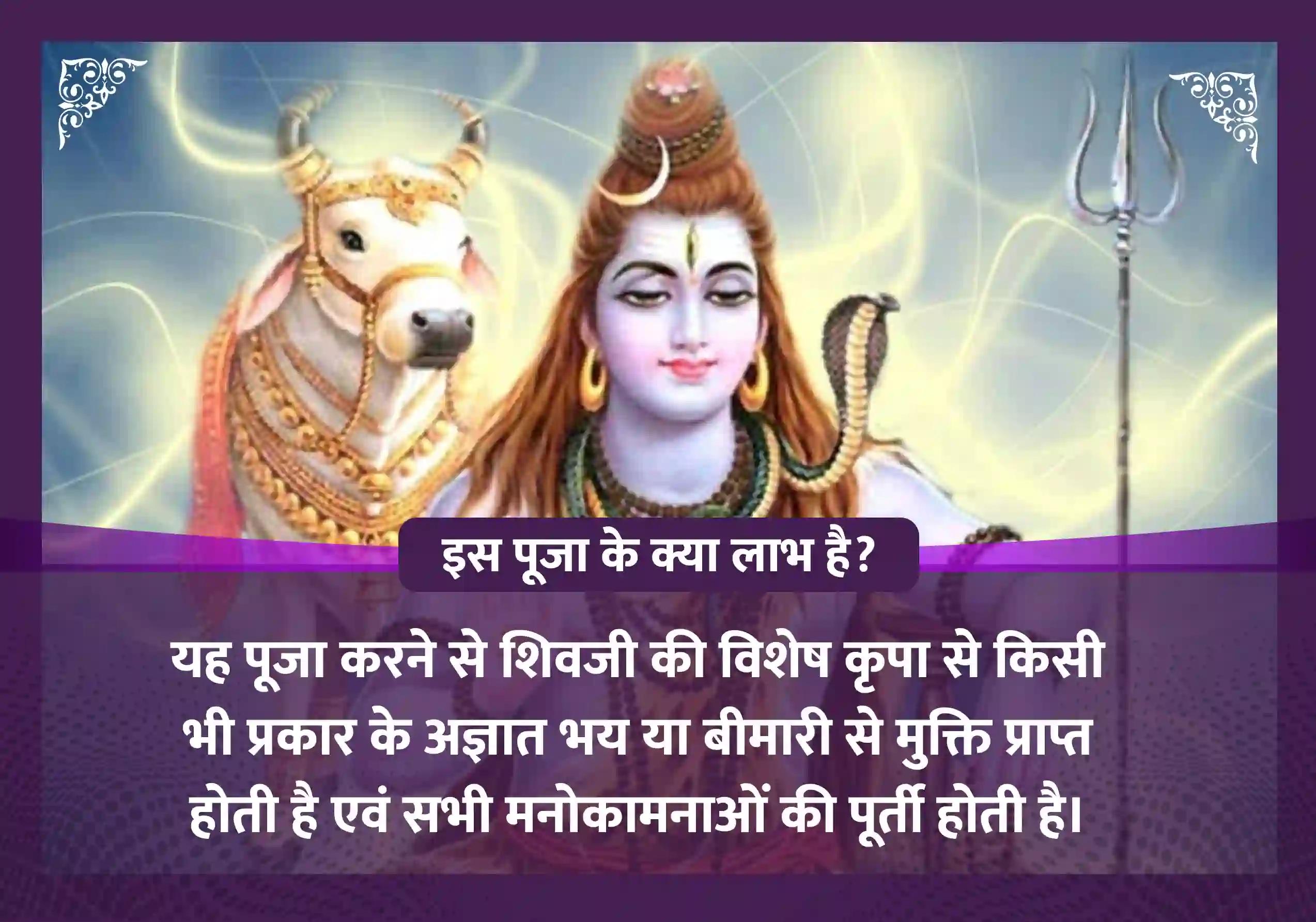 कार्तिक शुक्ल पूर्णिमा महामृत्युंजय मंत्र जाप, महामृत्युंजय यज्ञ एवं रुद्राभिषेक 