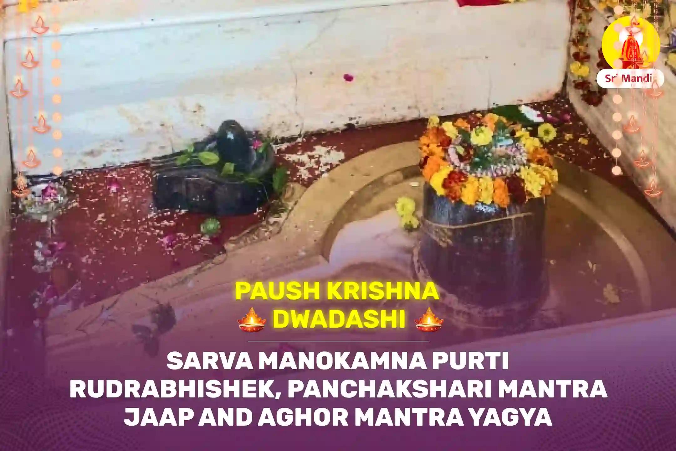 Paush Krishna Dwadashi Sarva Manokamna Purti Rudrabhishek, Panchakshari Mantra Jaap evam Aghor Mantra Yagya