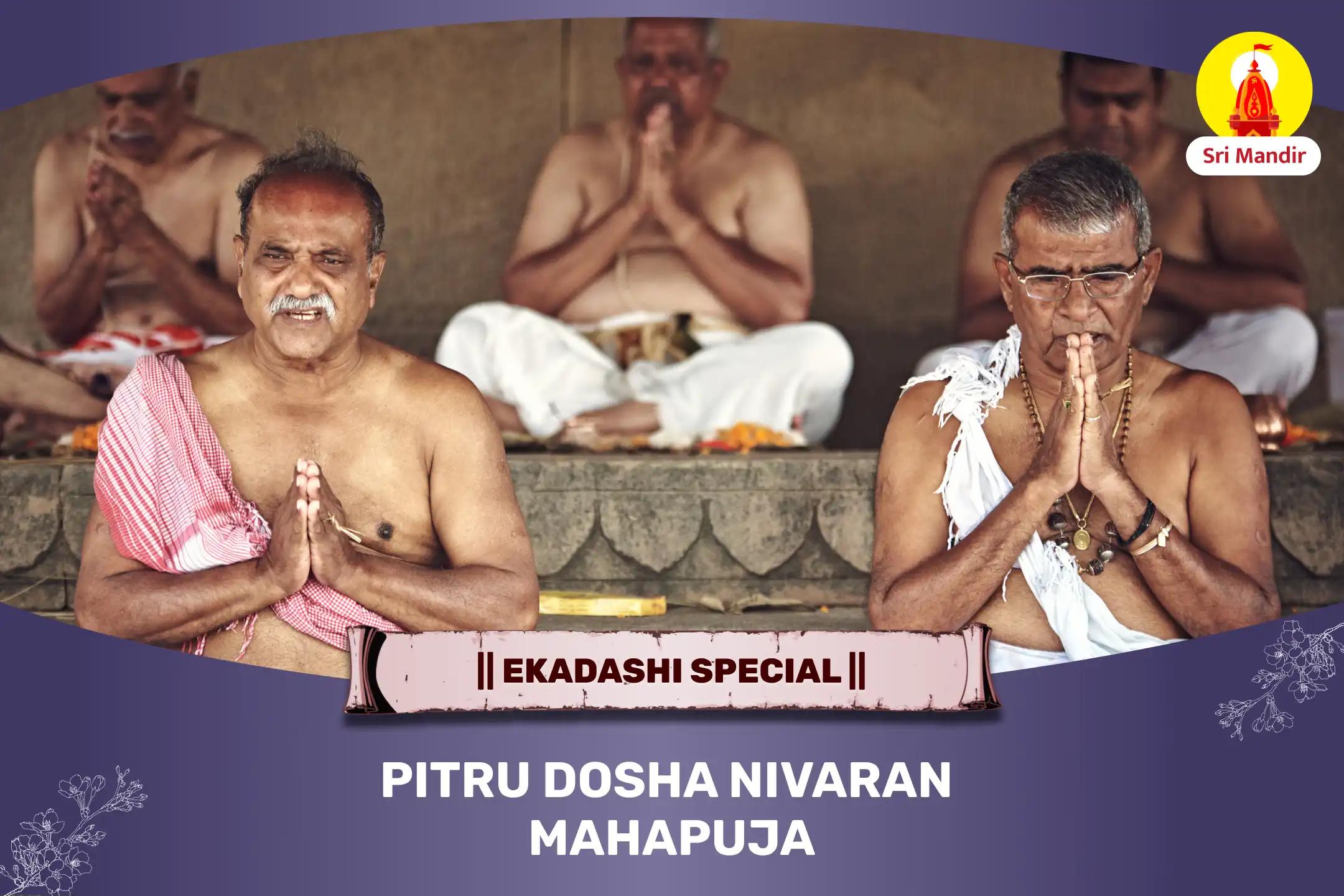 Ekadashi Special Pitru Dosha Nivaran Mahapuja