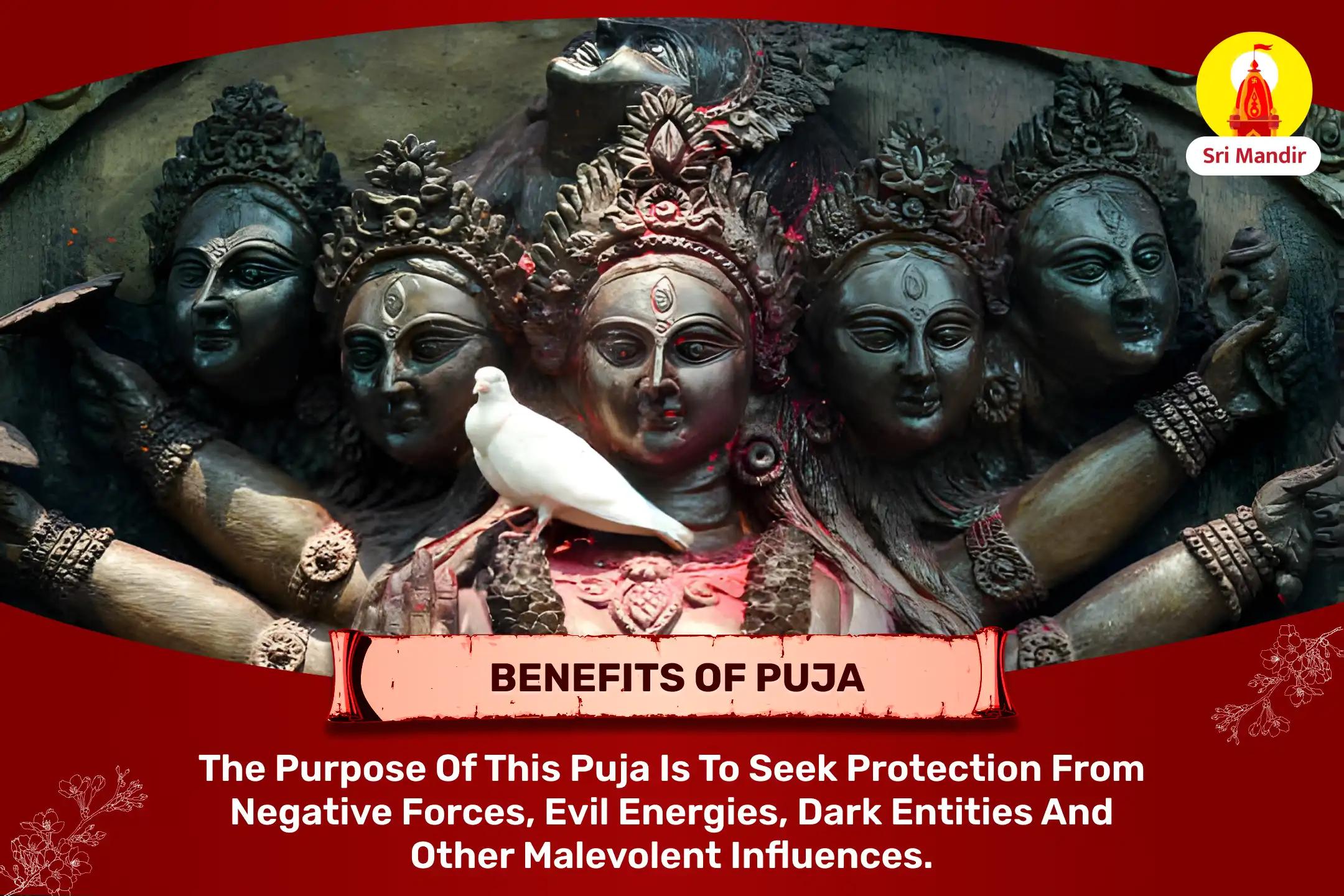 Divya Maha Kali Tantra Yukta Yagya for Protection From Evil Forces, Negative Energies, and Dark Entities