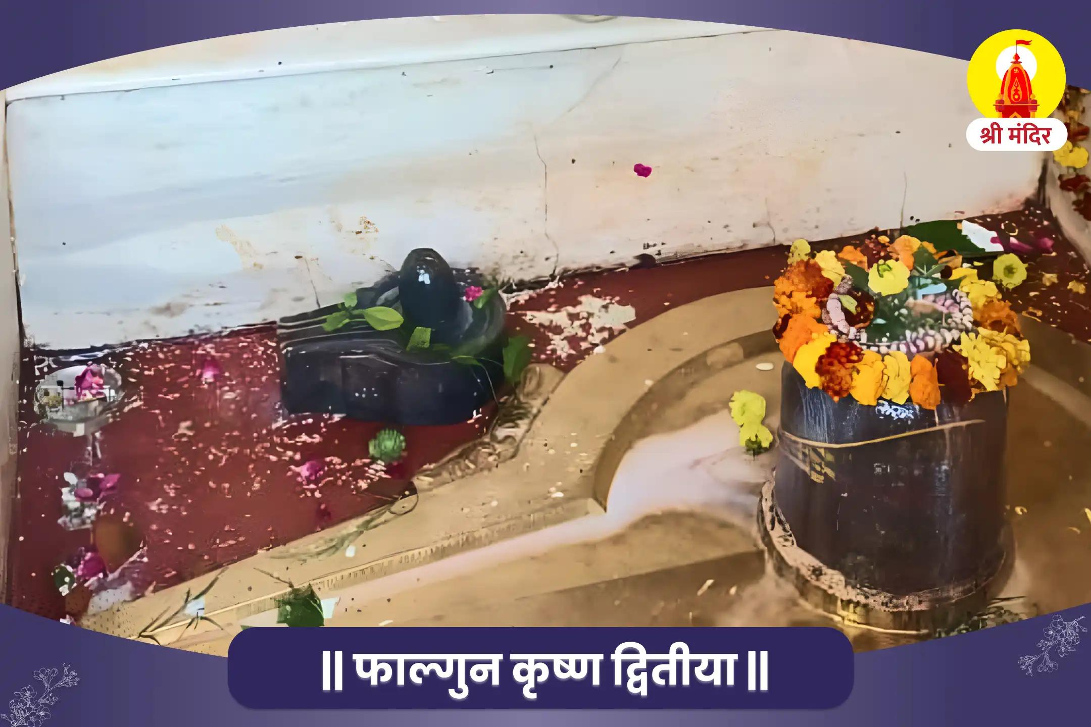 अकाल मृत्यु, बीमारी एवं शत्रुओं से रक्षा के लिए श्री रुद्र कवच यज्ञ और महामृत्युंजय पाठ