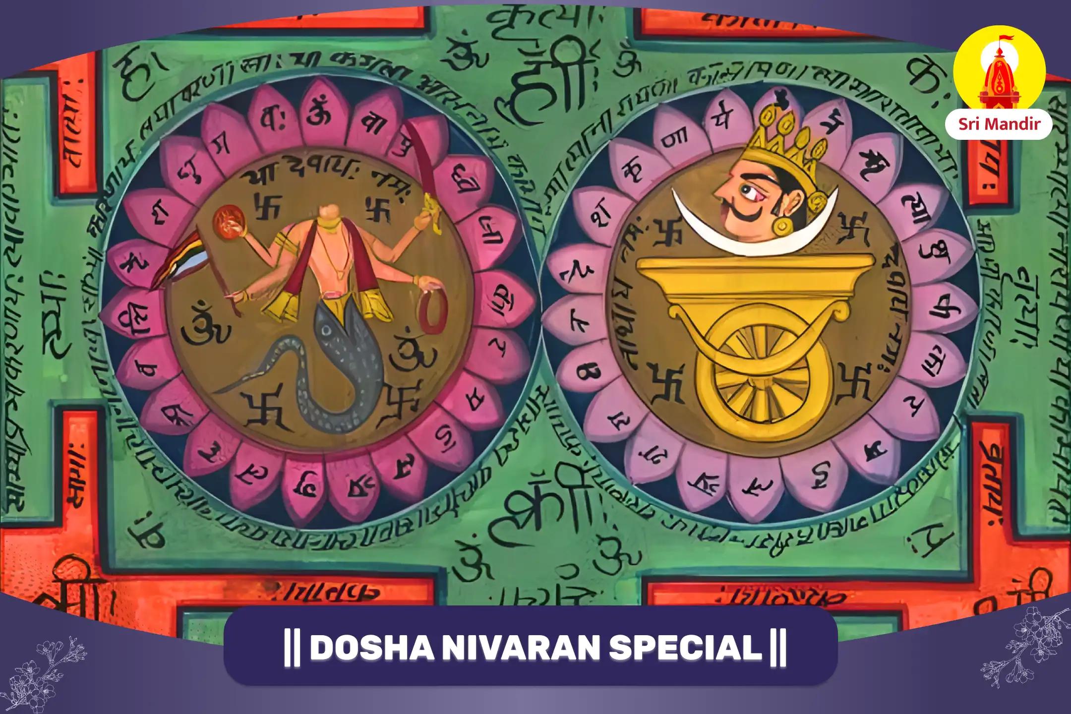 Rahu-Ketu Dosha Nivaran Puja For Removing Mental Agitation and Anxiety