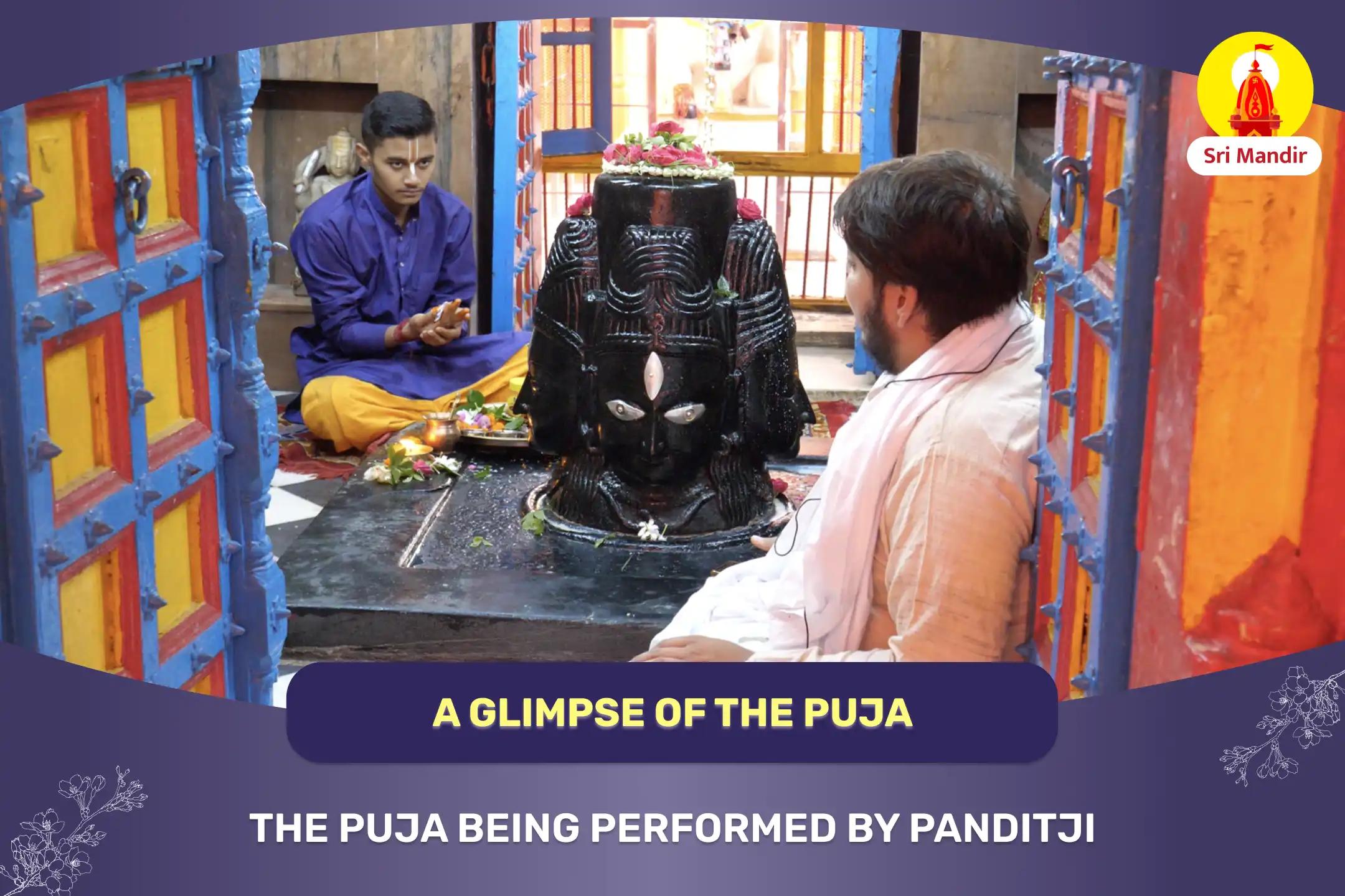 Rahu-Ketu Dosha Nivaran Puja For Removing Mental Agitation and Anxiety