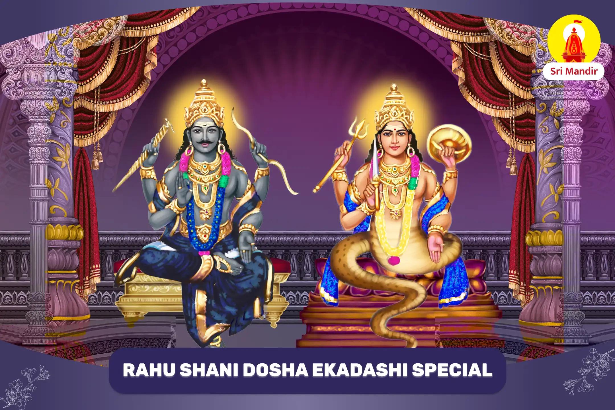 Vijaya Ekadashi Special Rahu-Shani Shanti Puja and Shiva Mahabhishek for Eliminating Instability and Uncertainties