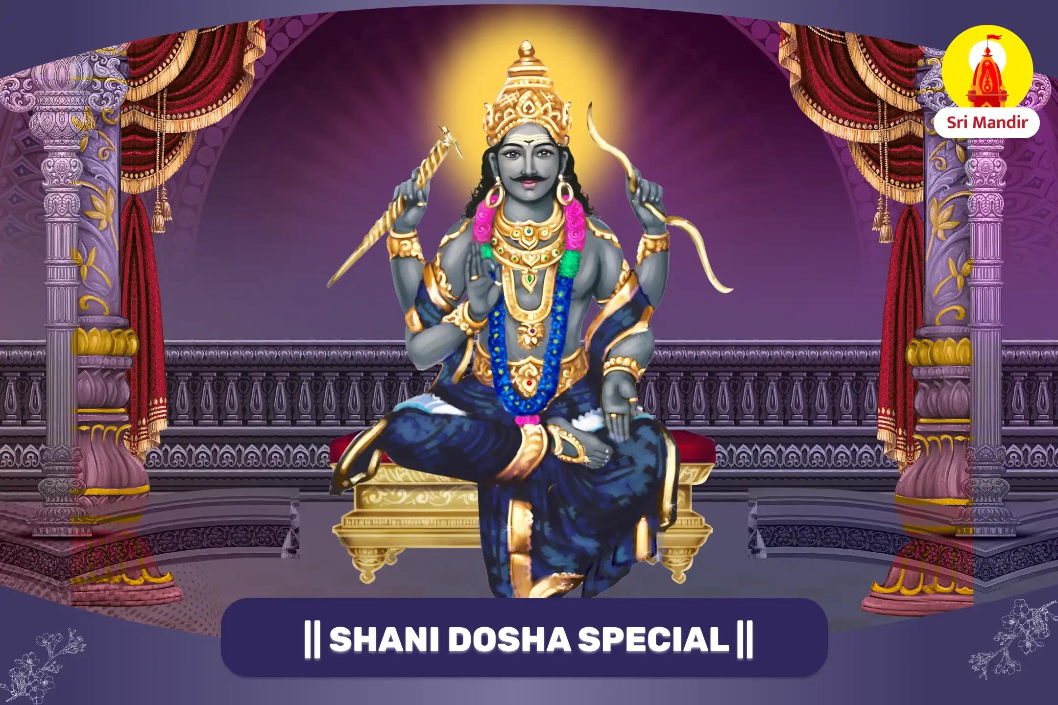 Ujjain Teerth Saturday Special Shani Dosha Peeda Shanti Mahapuja and Til Tel Abhishek 