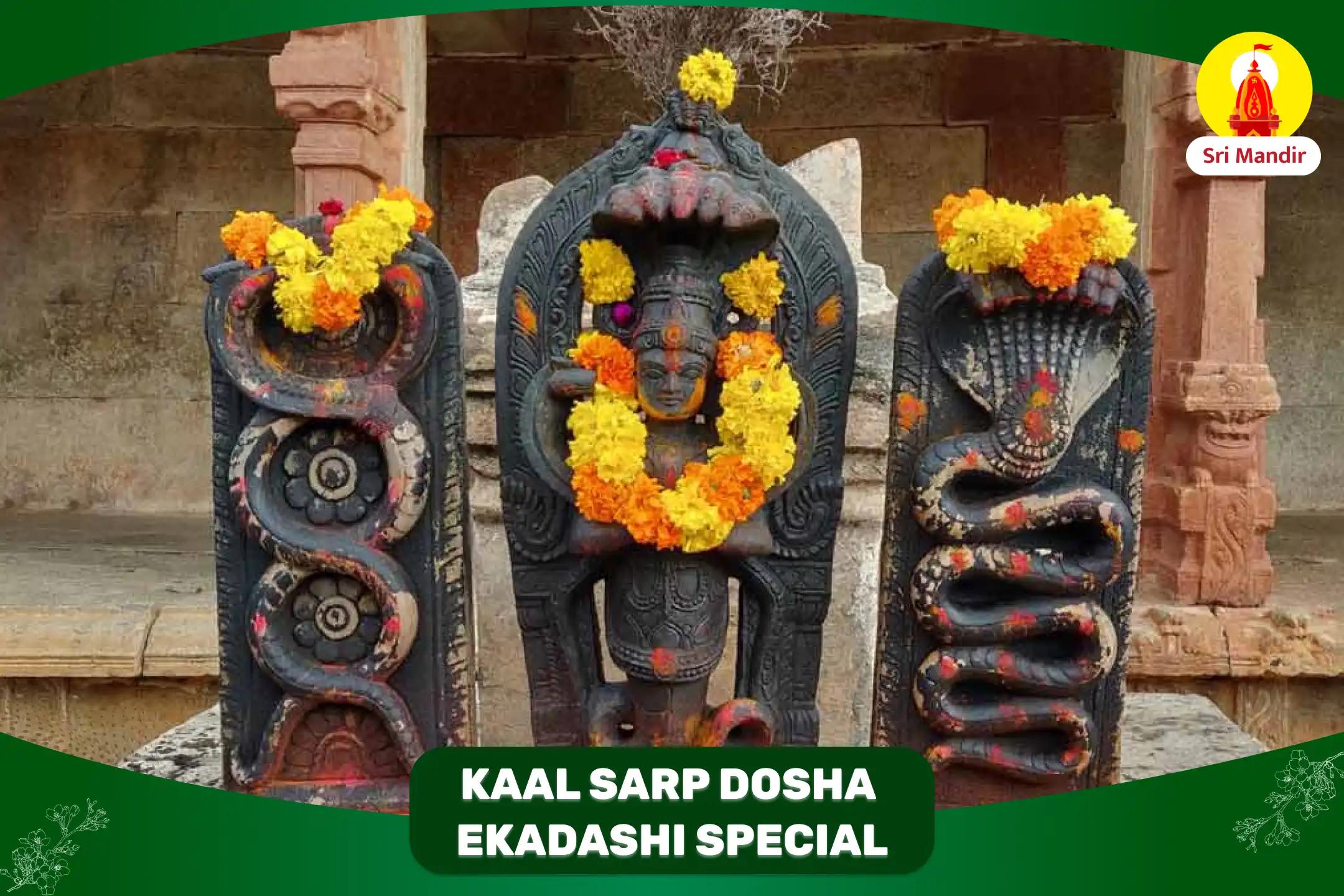 Vijaya Ekadashi Special Kaal Sarp Dosha Nivaran Puja and Shiva Rudrabhishek  
