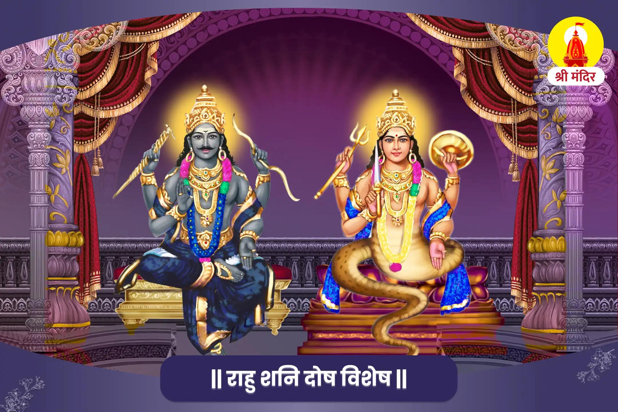 करियर में स्थिरता और आर्थिक समृद्धि के लिए राहु-शनि दोष शांति पूजा एवं शिव महाभिषेक