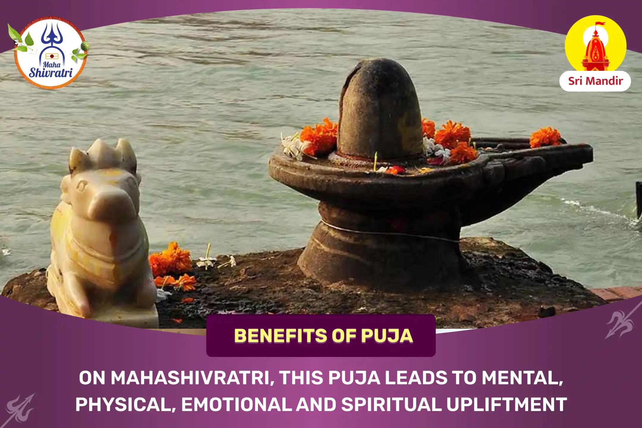 Mahashivratri 4 Prahar Kashi Special Maha Abhishek Puja