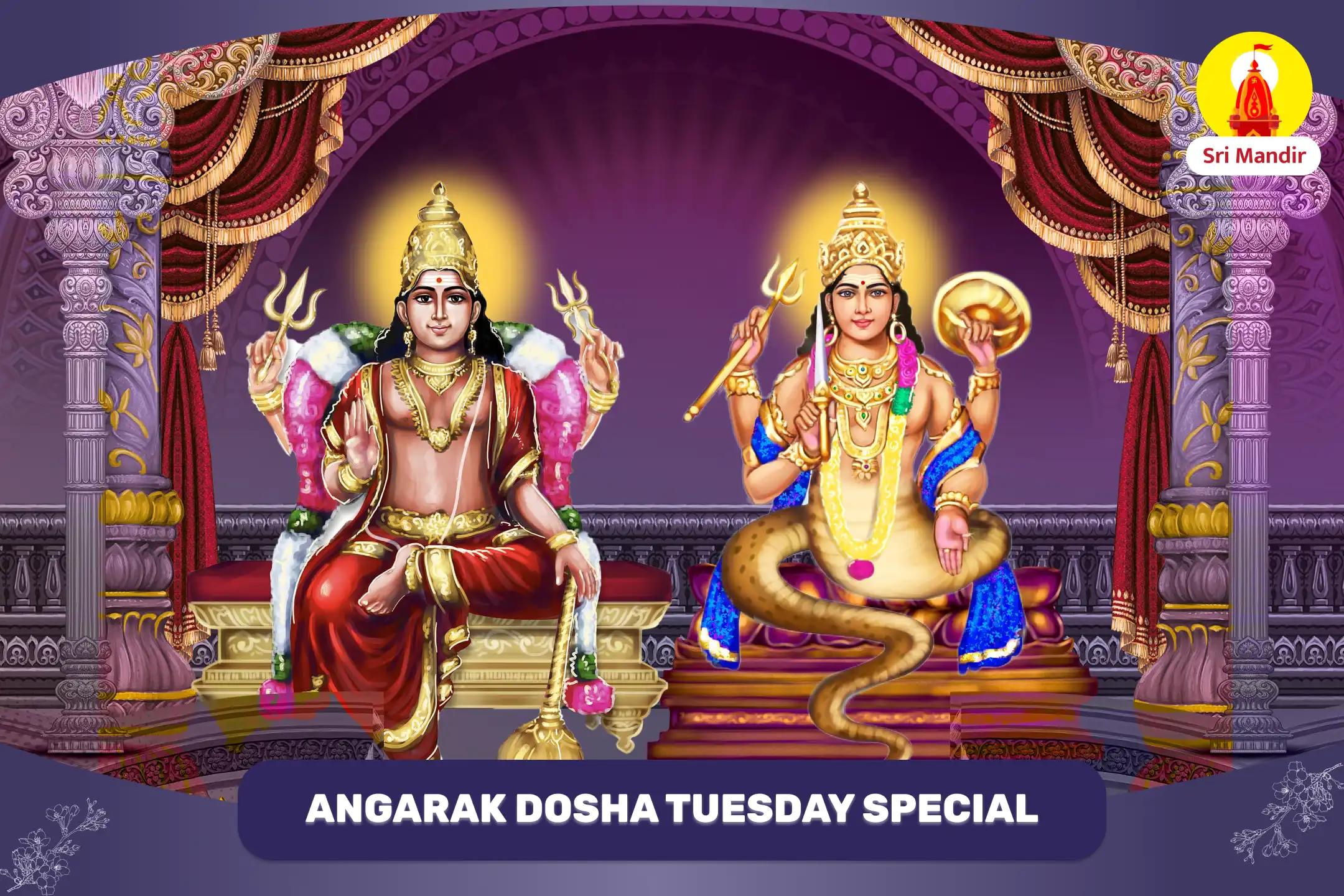 Mangal Rahu Angarak Dosha Nivaran Puja and Shiva Rudrabhishek for Overcoming Negativity and Resolving Conflicts