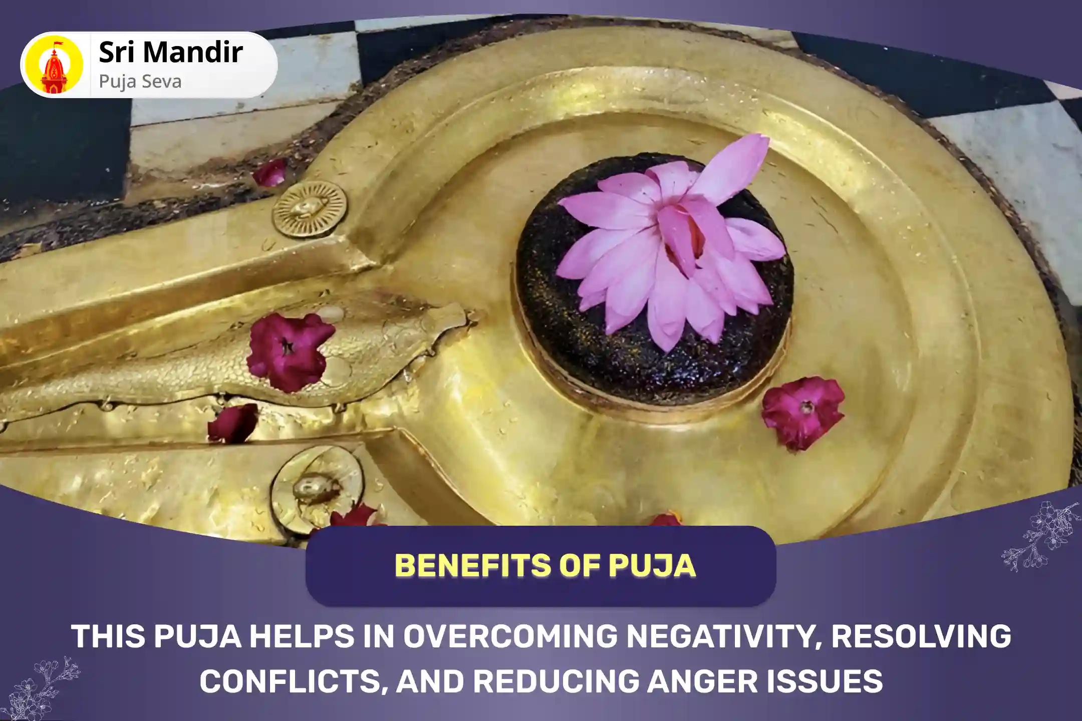 Rahu-Mangal Graha Special Angarak Dosha Shanti Puja and Yagya for Overcoming Aggression and Conflicts in Personal and Professional Relationships