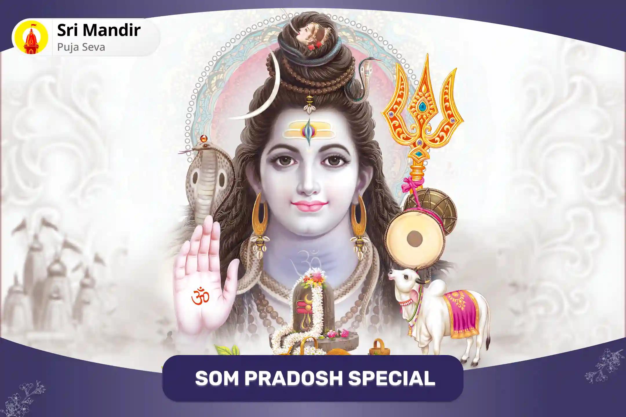 Som Pradosh Special 1008 Mahamrityunjay Jaap and Shiv Rudra Abhishek For Protection from Premature Death, Terminal Illness and Life Threats