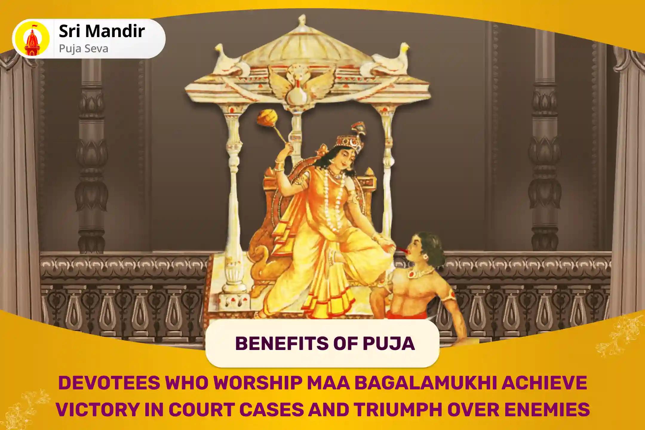 Vaishakh Purnima Special Maa Bagalamukhi Tantra Yukta Yagya for Victory in Court Cases and Victory over Enemies