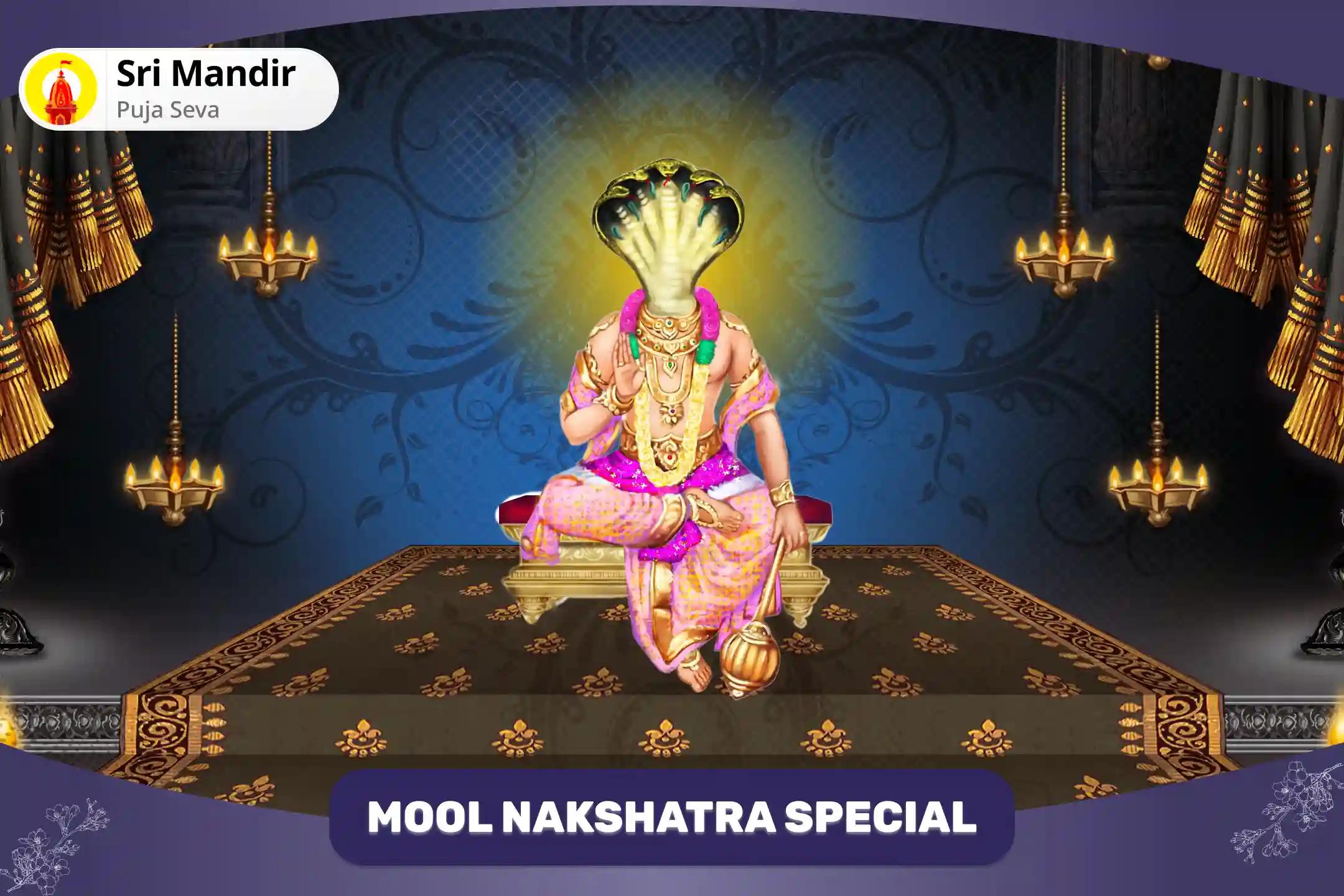 Mool Nakshatra Special Ketu Grah Shanti Special 1008 Ketu Mool Mantra Jaap and Yagya for Overcoming Anxiety, Negativity and Depression