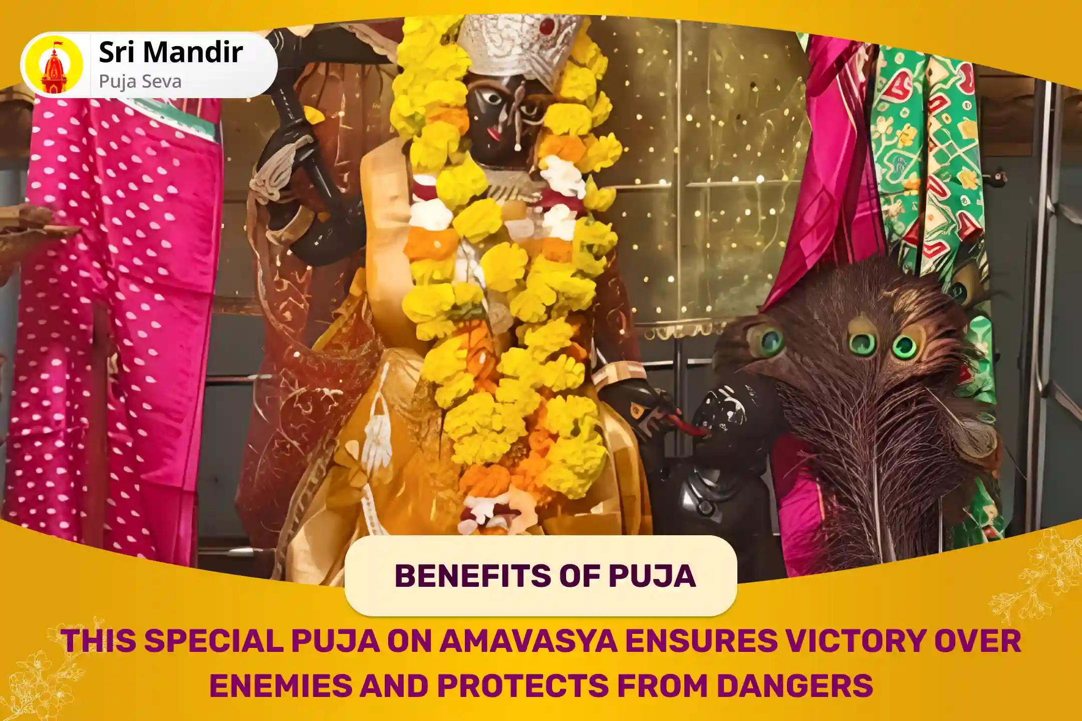 Amavasya Special 36,000 Maa Bagalamukhi Mool Mantra Jaap and Havan for Victory Over Enemies, Protection from Life-Threatening Diseases and Accidents