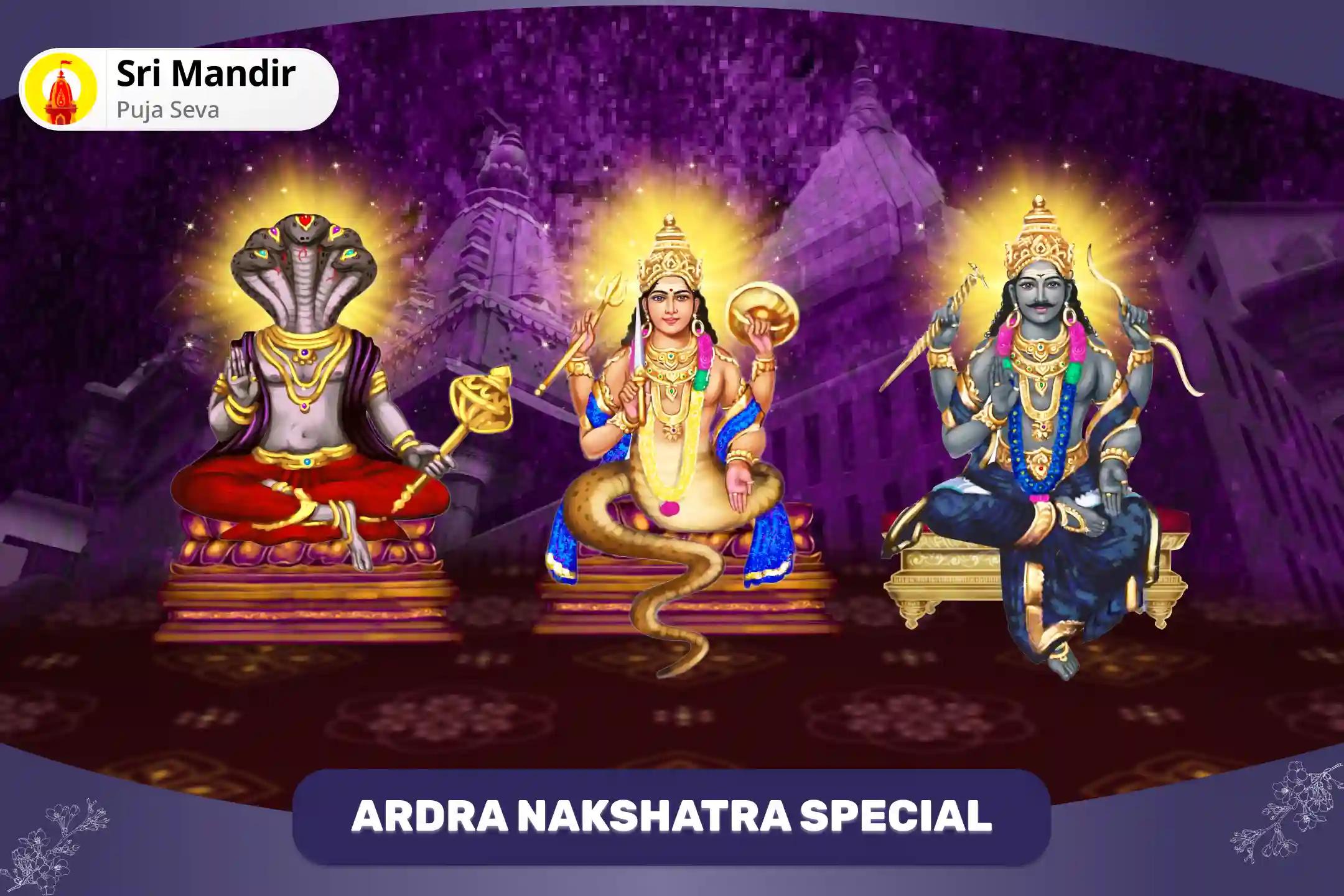 Ardra Nakshatra Special Rahu-Ketu Peeda Shanti Mahapuja and Shani Dev Til Tel Abhishek for Overcoming Addiction and Improving Decision Making