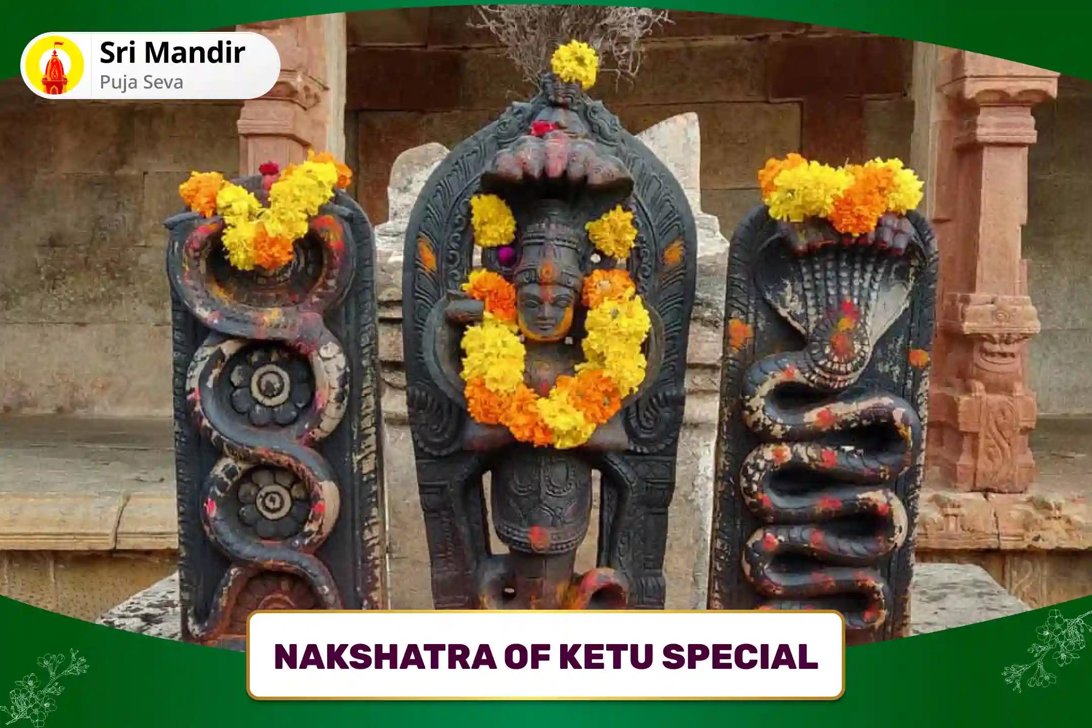 Nakshatra of Ketu Special Kaal Sarp Dosha Shanti Puja and Rudra Abhishek Eliminating Fear of Death and Achieving Mental Stability 