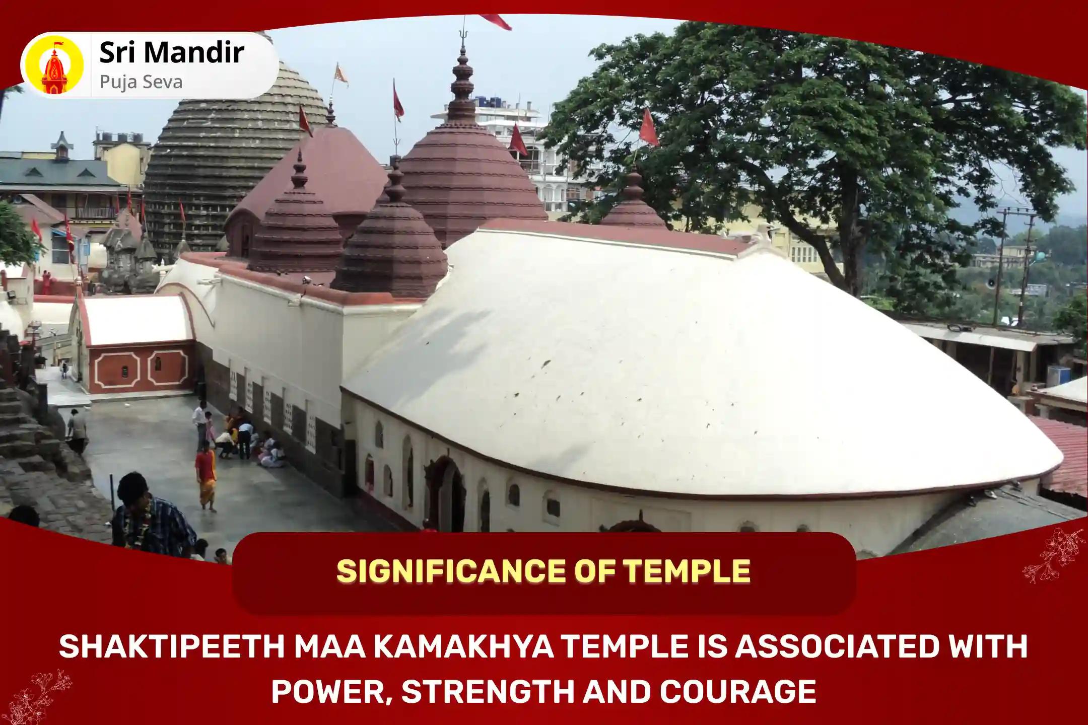 Shaktipeeth Kamakhya Ashtami Special 10 Mahavidya Puja and Maa Kamakhya Tantra Yukta Yagya for Mental and Physical Strength