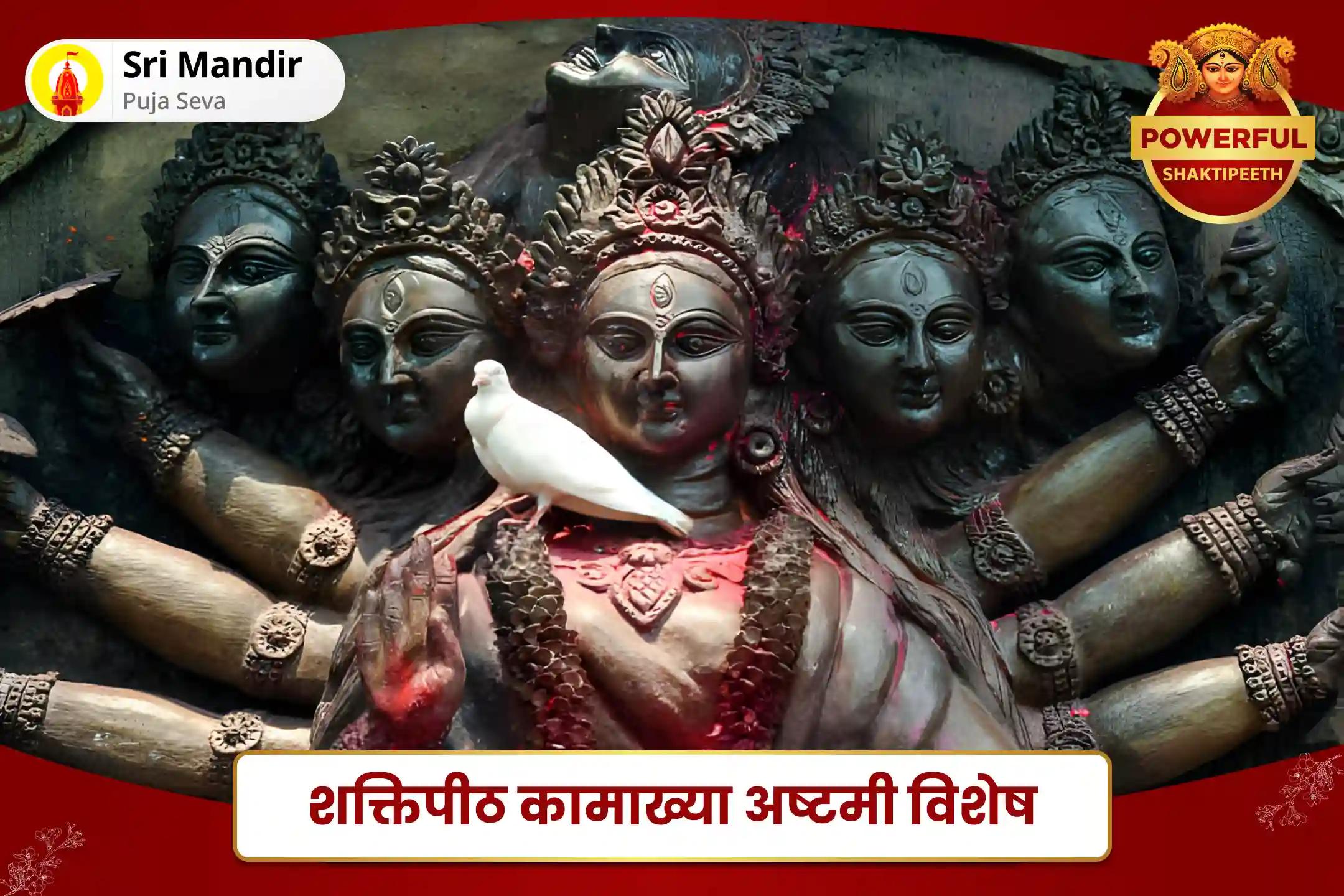रिश्तों में विवादों से मुक्ति एवं असीम प्रेम प्राप्ति के लिए शक्तिपीठ कामाख्या अष्टमी विशेष मां कामाख्या तंत्र युक्त महायज्ञ