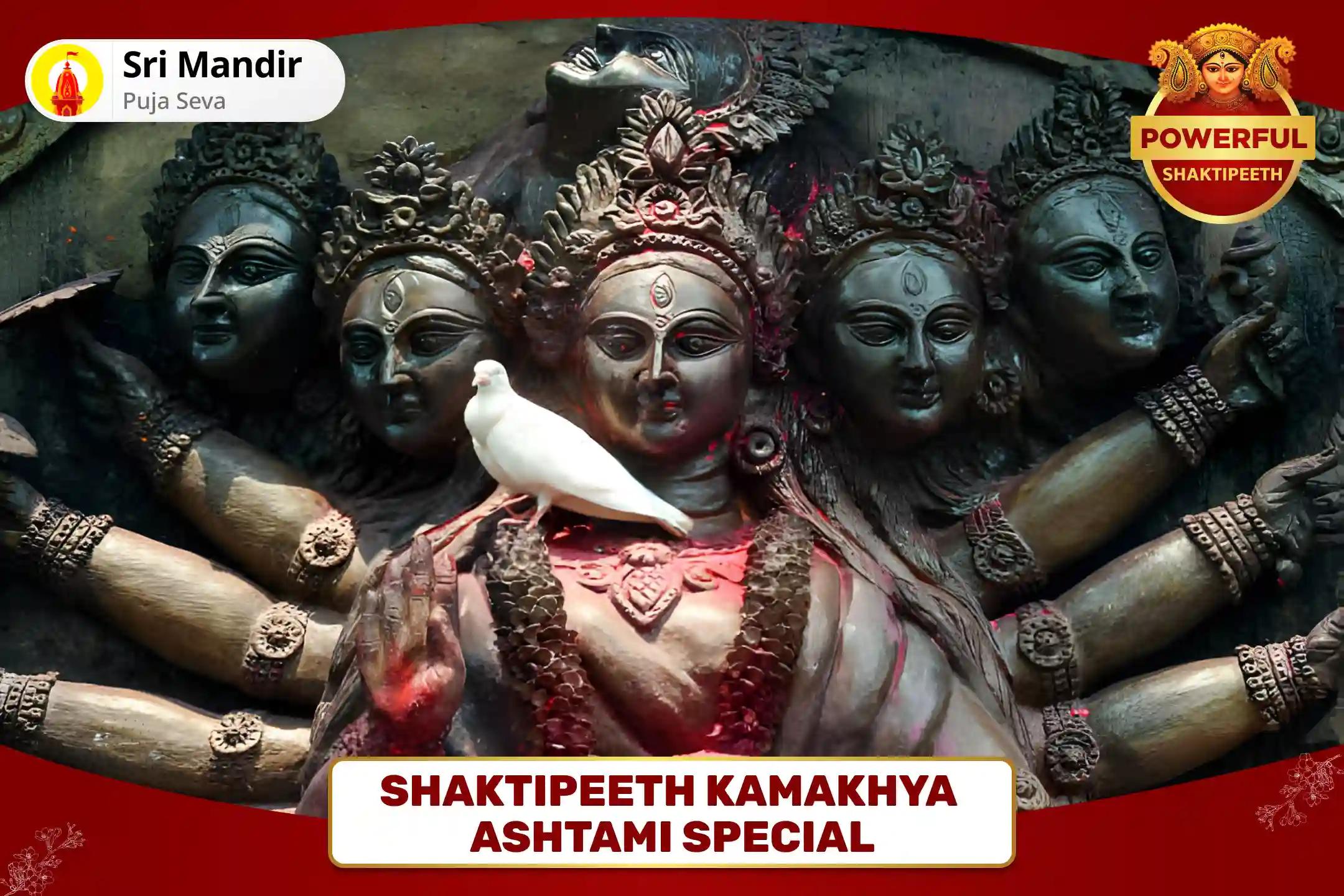 Shaktipeeth Kamakhya Ashtami Special Maa Kamakhya Tantra Yukta Maha Yagya for Bliss in Relationship and Resolving Conflicts