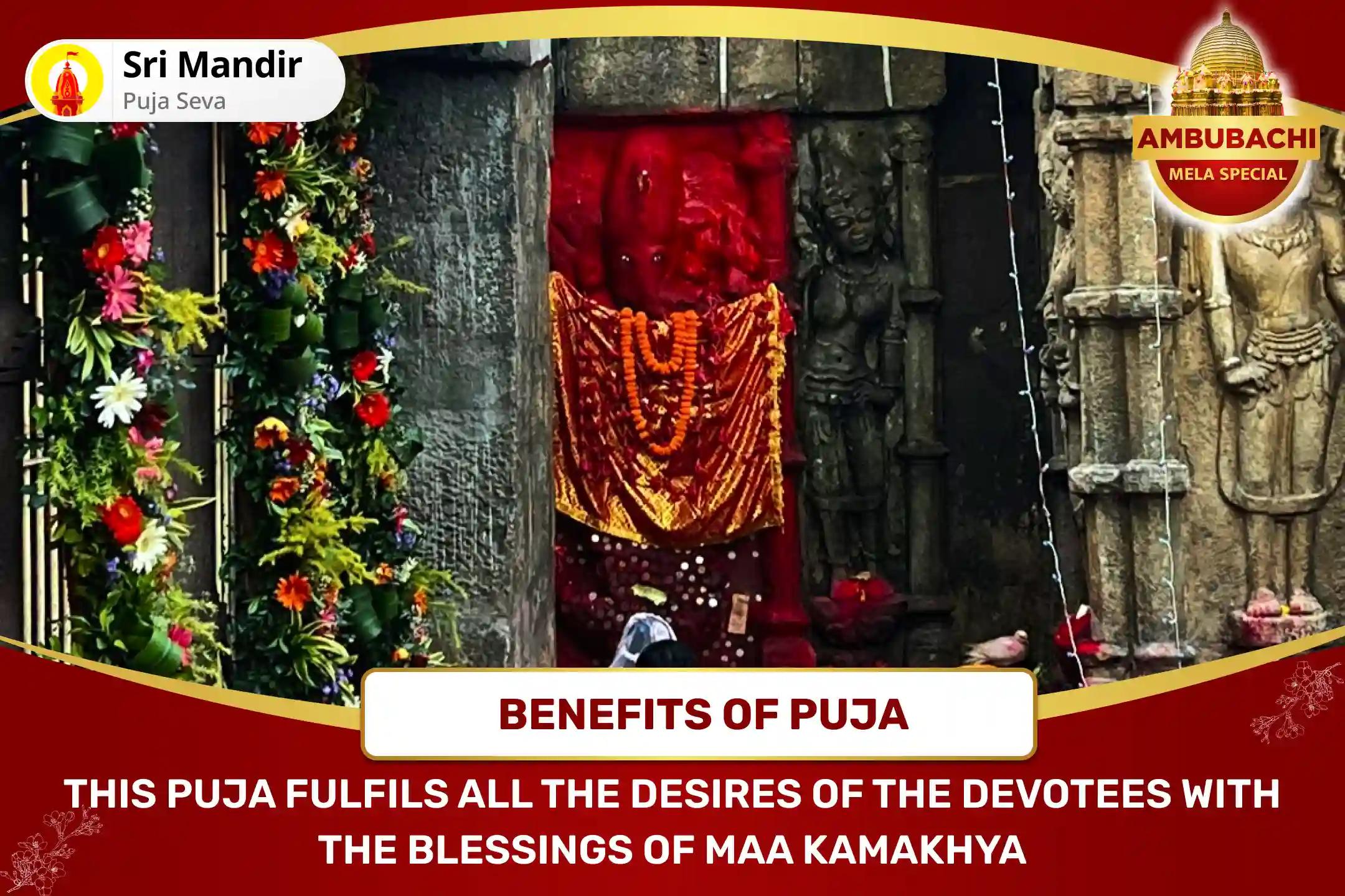 Ambubachi Mela Start Special Shaktipeeth Maa Kamakhya Tantra Maha Yagya for the fulfilment of all desires.