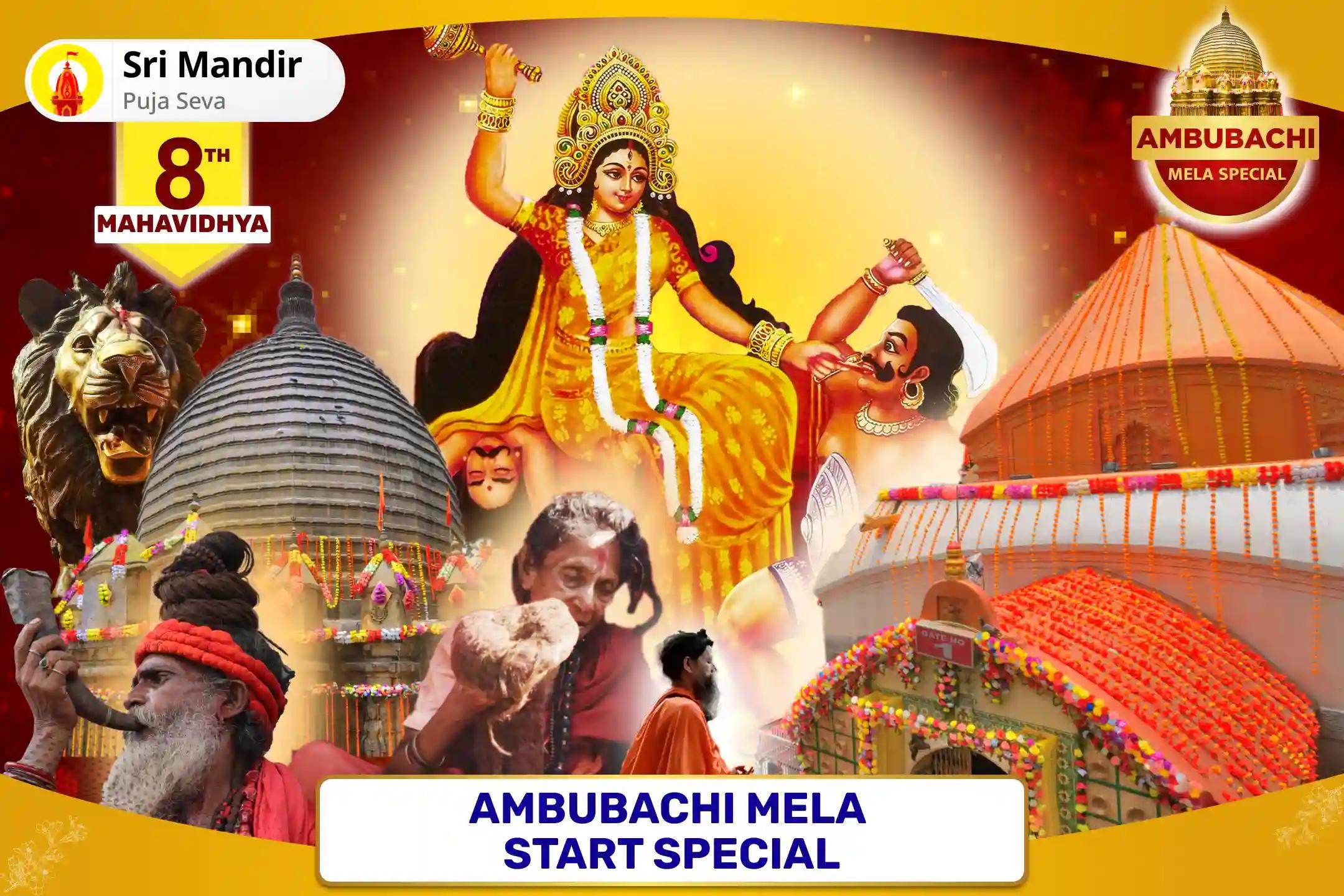Ambubachi Mela Start Special Maa Bagalamukhi Tantra Yukta Yagya for Victory in Court Cases and Victory over Enemies 