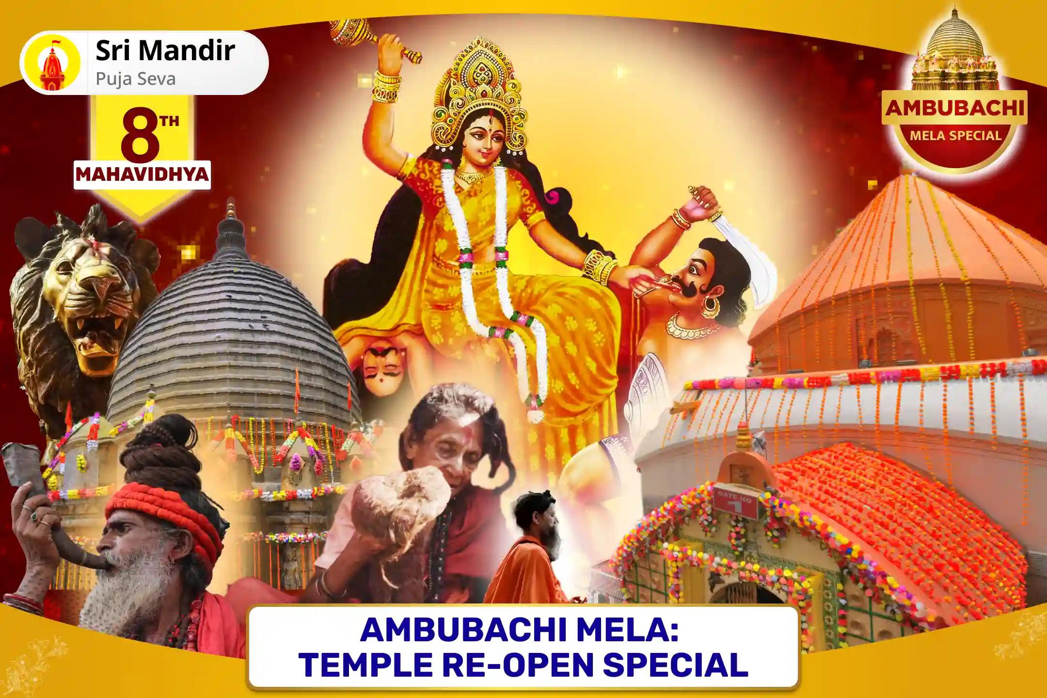 Ambubachi Mela: Temple Reopen Special Maa Bagalamukhi Tantra Yukta Yagya for Victory in Court Cases and Victory over Enemies
