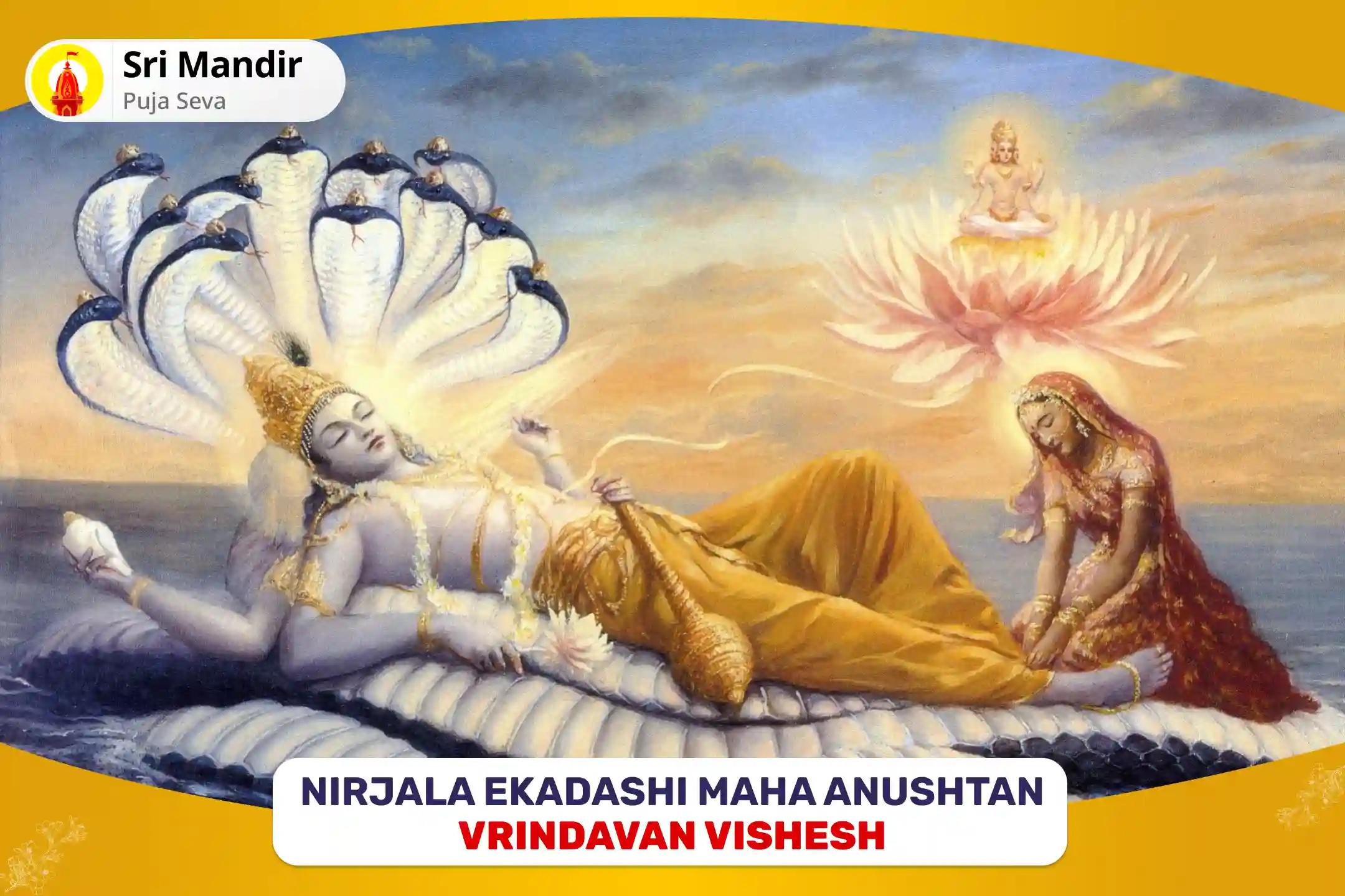 Nirjala Ekadashi Maha Anushtan Special 11,000 Vishnu Dwadashakshar Mantra Jaap and Ekadashi Vrat Katha for Vishnu Ji's blessings of prosperity and Material Well-Being