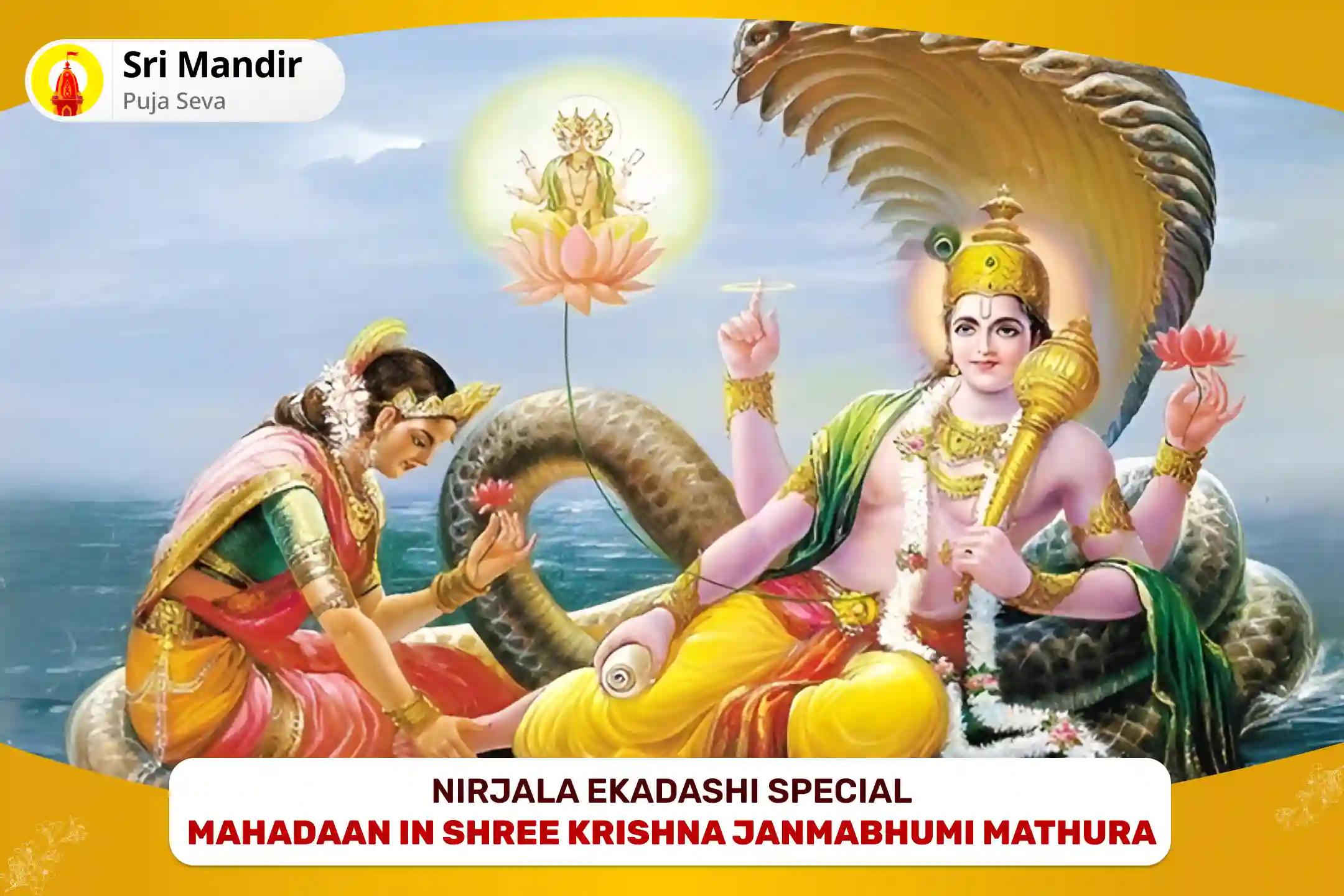 Nirjala Ekadashi Special Ekadasi Mahadaan and Tulsi Pujan for Protection, Prosperity and Spiritual Well-Being 