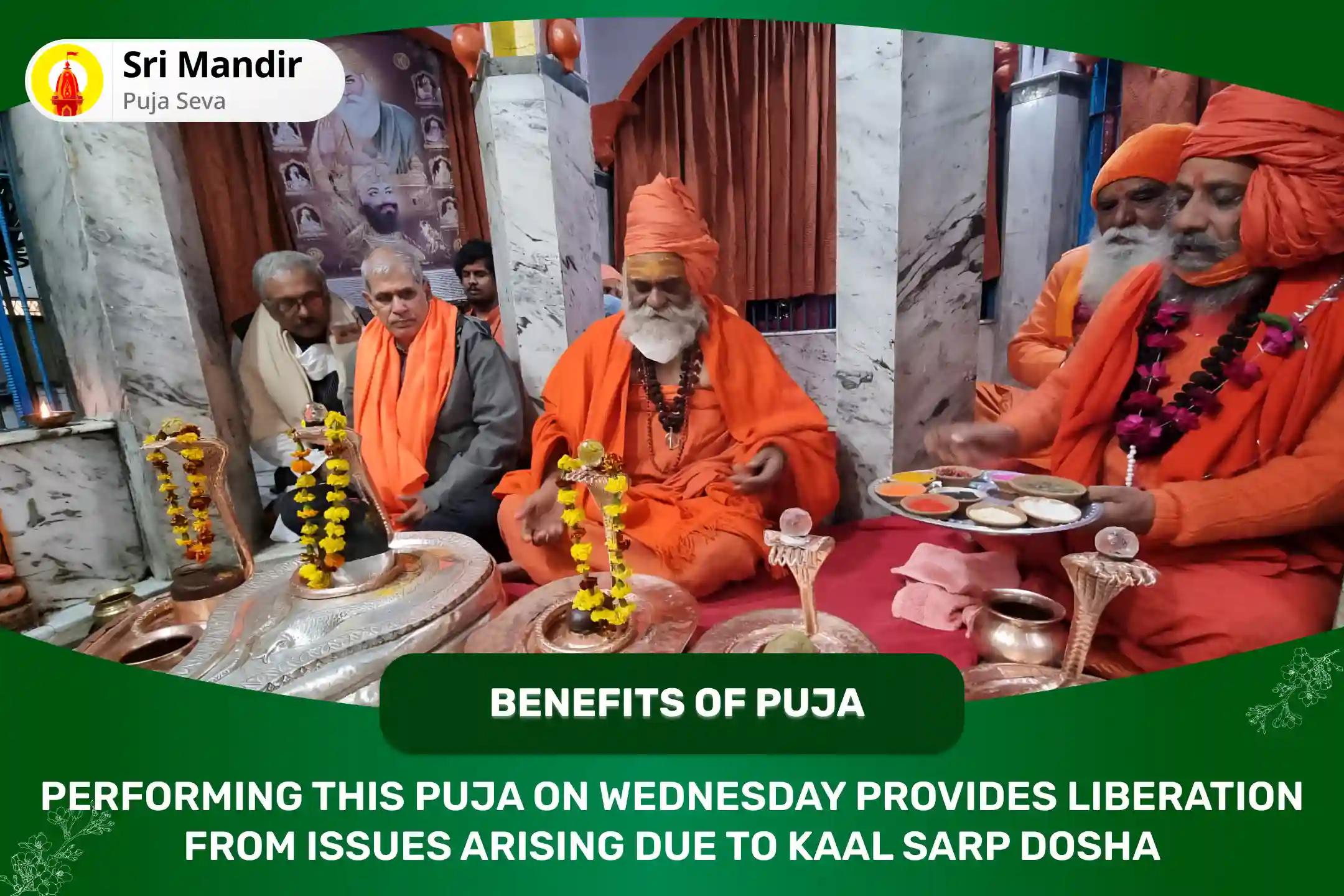 Wednesday Special Kaal Sarp Dosha Shanti Puja and Rudra Abhishek For Eliminating Fear of Death and Achieving Mental Stability 