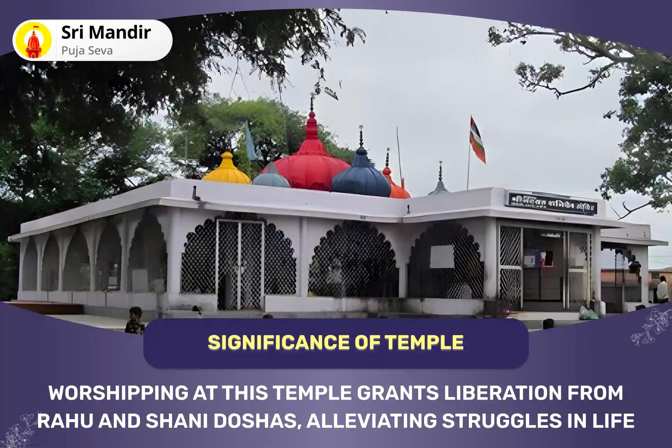 Purnima Shapit Dosh Special Rahu-Shani Shapit Dosh Shanti Yagya and Til Tel Abhishek for Protection from Obstacles and Delays