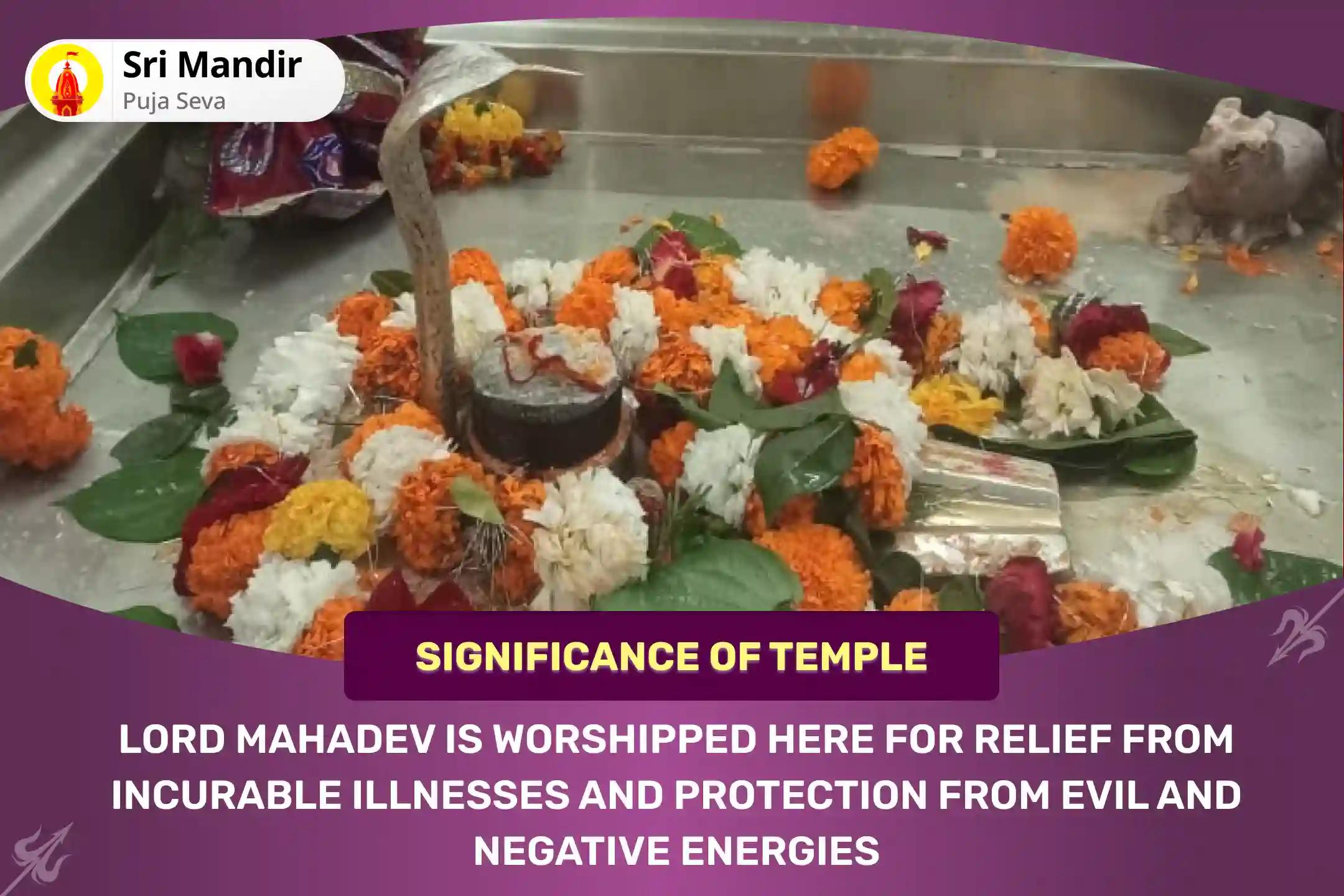 Monday Brahma Muhurta Special 11,000 Mahamrityunjay Jaap, Giloy and Panchamrit Abhishek for Relief from Incurable Illnesses and Protection from Evil Influences and Negative Energies