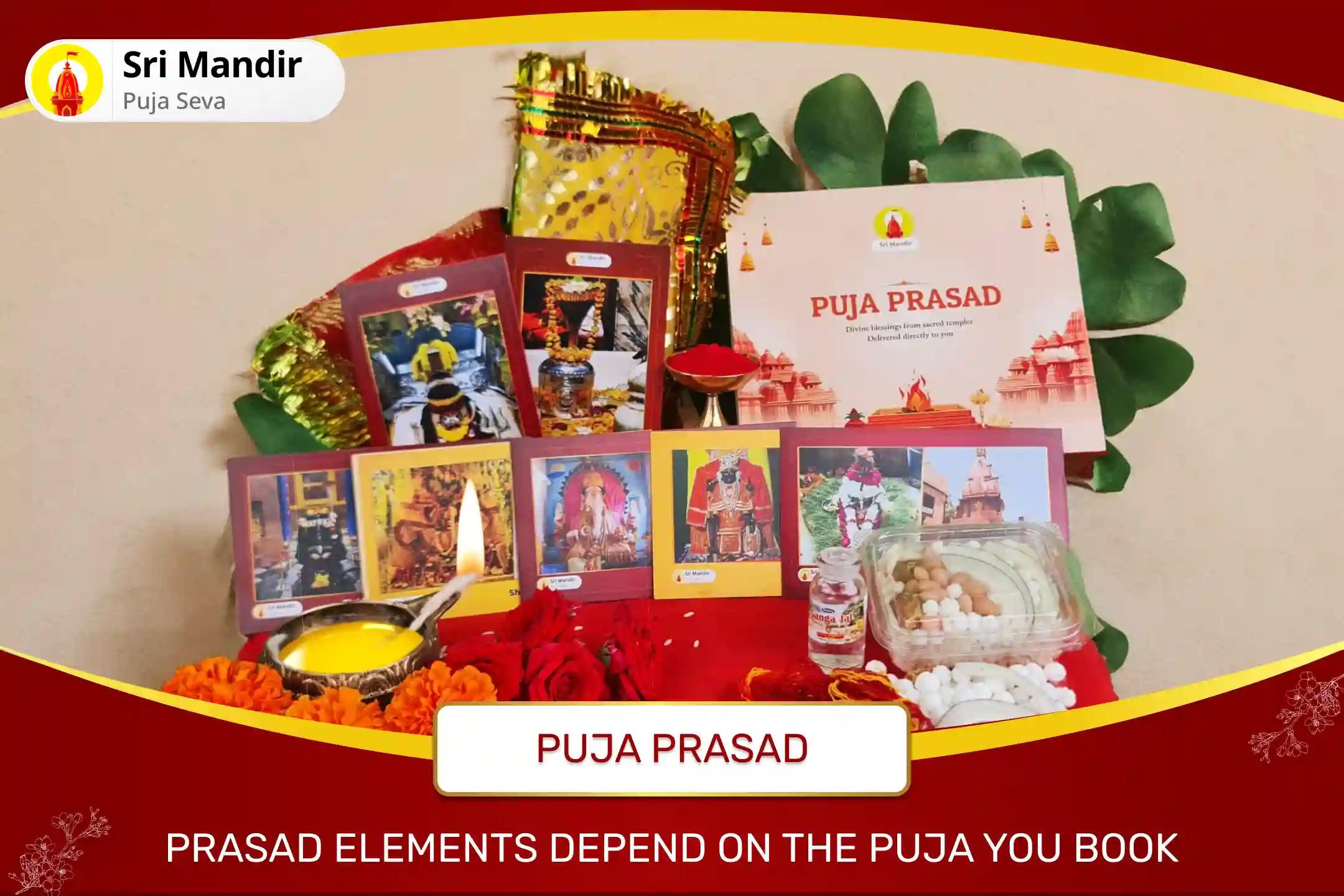 Yogini Ekadashi Shaktipeeth Combo Special Shri Dhandayak Strotra Vishnu Ashtakam and Mahalakshmi Puja