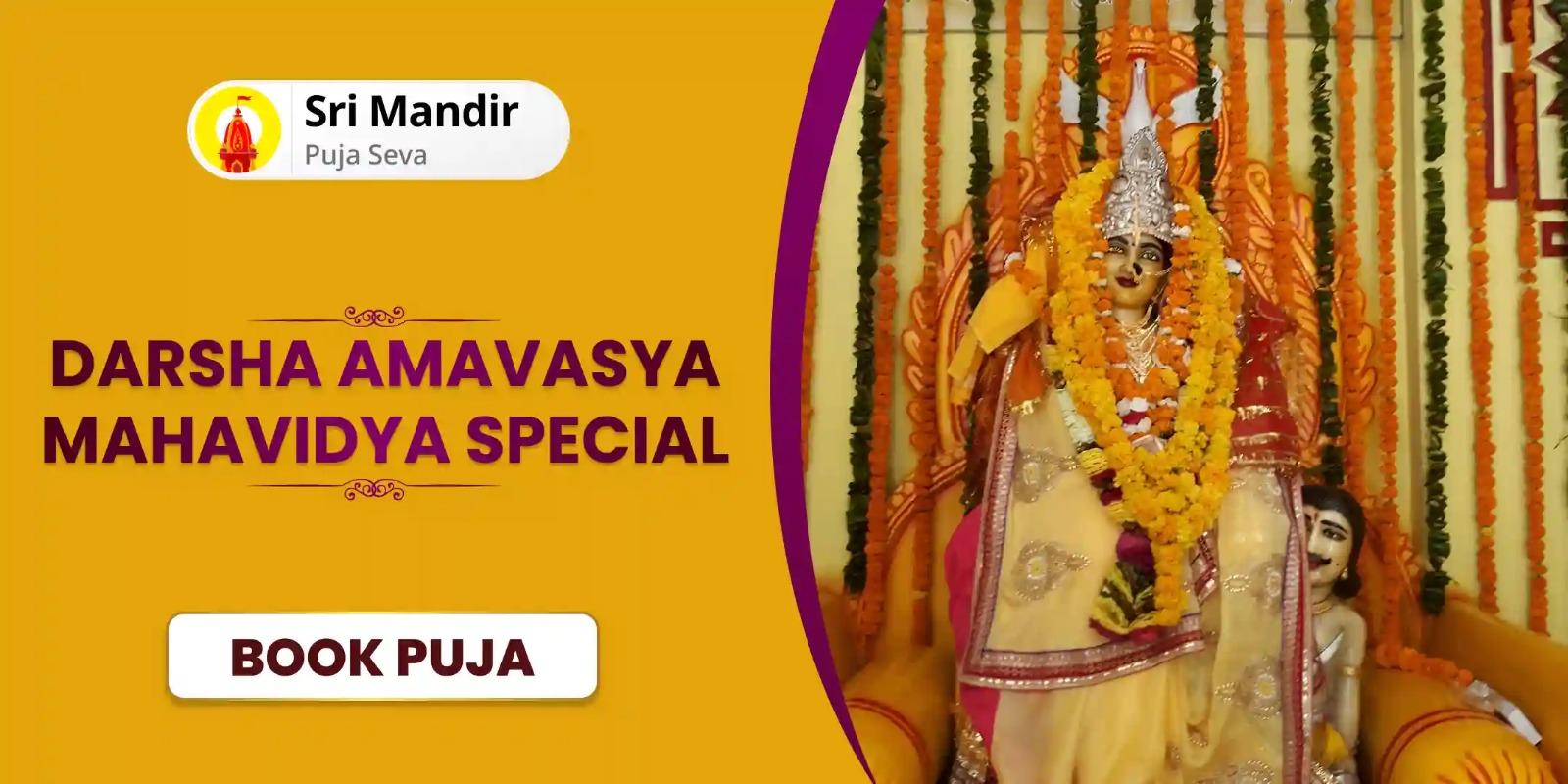 Darsha Amavasya Mahavidya Special 36,000 Maa Bagalamukhi Mool Mantra Jaap and Havan for Victory Over Enemies, Protection from Life-Threatening Diseases and Accidents
