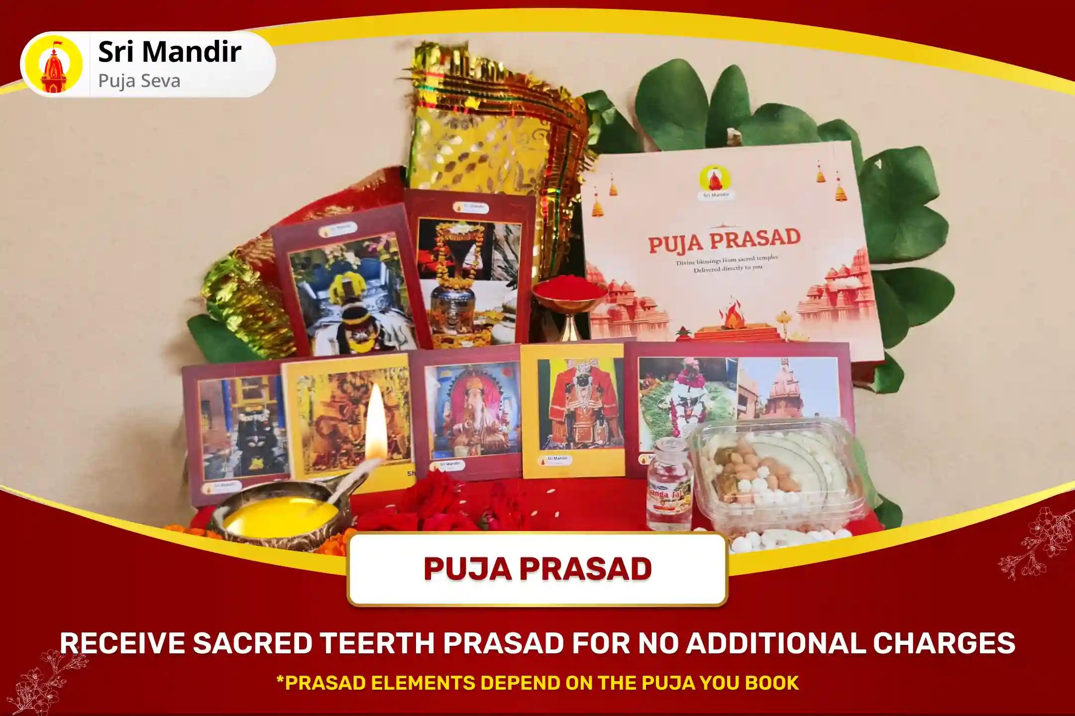 Double Jyotirlinga Amavasya Special 1100 Shivlinga Pranpratishtha Partheshwar Pujan For Mental health and stability & Abundance of wealth