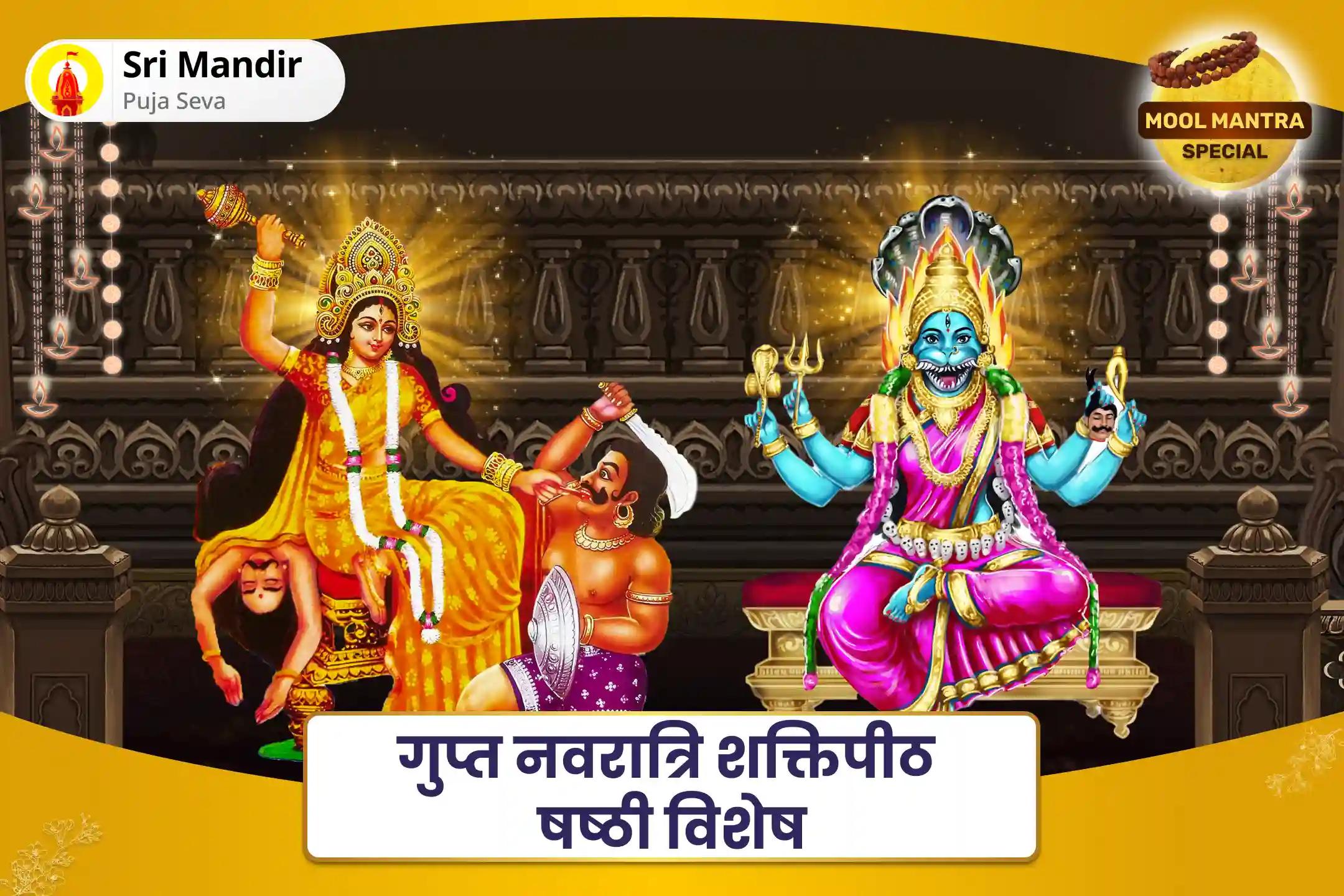 तंत्र हमले, काले जादू एवं नकारात्मक शक्तियों से मुक्ति के लिए गुप्त नवरात्रि षष्ठी विशेष बगलामुखी-प्रत्यंगिरा कवच पाठ: 1,25,000 बगलामुखी मूल मंत्र जाप और हवन