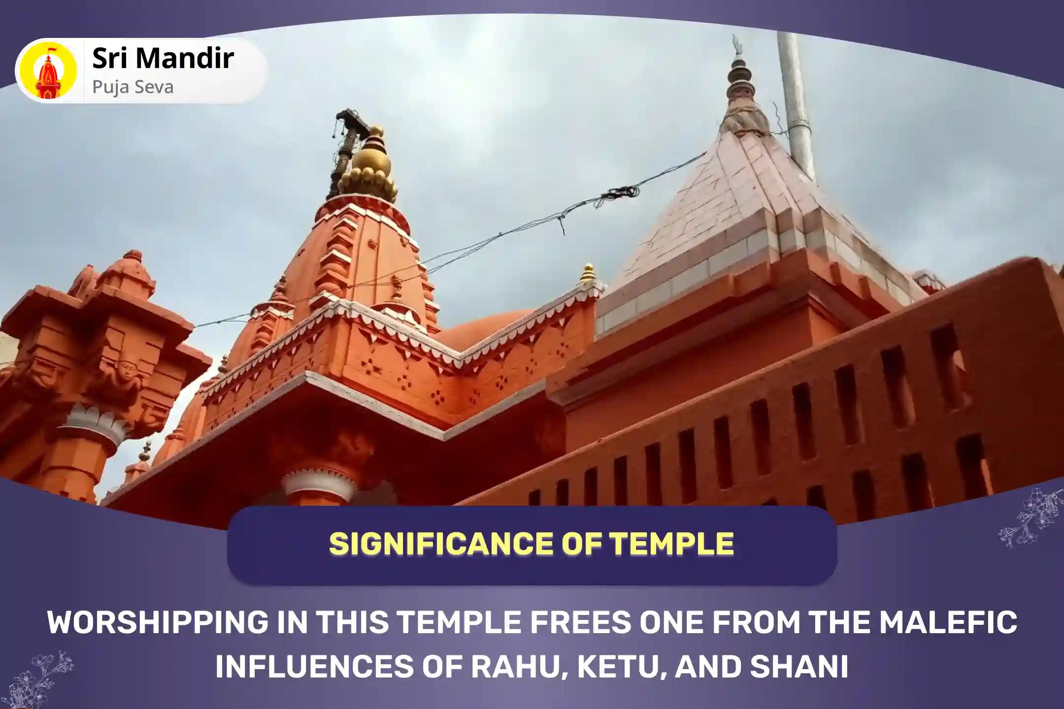  Nakshatra of Rahu Special Rahu-Ketu Peeda Shanti Mahapuja and Shani Dev Til Tel Abhishek for Overcoming Addiction and Improving Decision Making