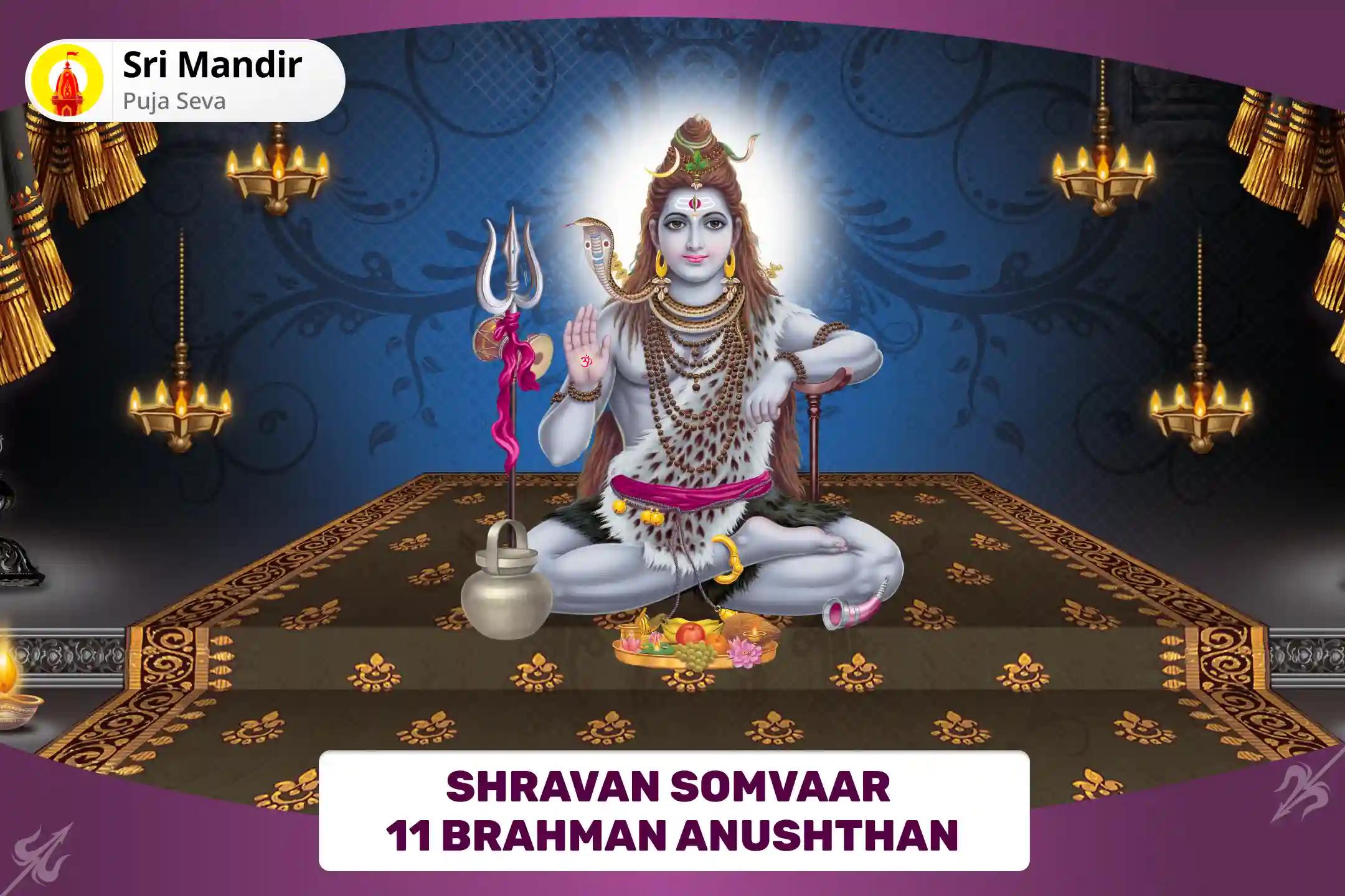 Shravan Somvaar 11 Brahman Anushthan 11 Brahman Abhishekatmak Laghu Rudrabhishek Anushthaan and Brahman Bhojan for Blessings for Protection from Negative Energies