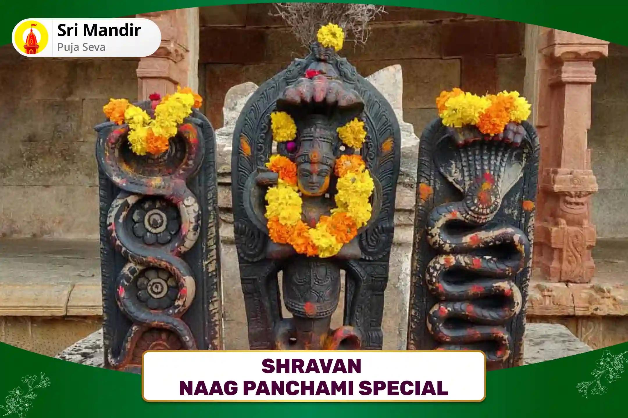 Shravan Naag Panchami Special Kaal Sarp Dosh Nivaran Puja For Blessings to Achieve Mental Stability and Overcome Fear