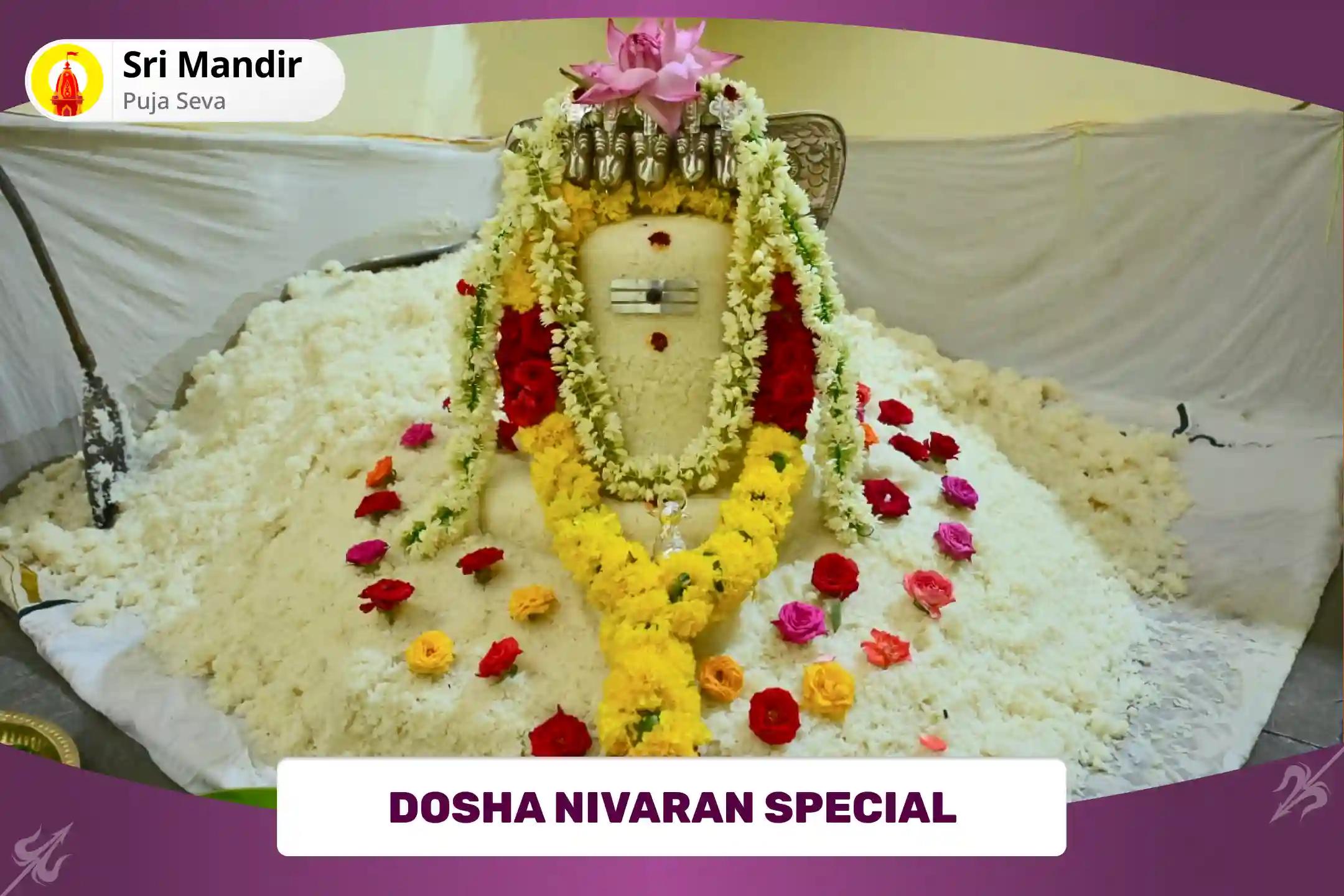 Dosha Nivaran Special Anna Lingam Puja and Anna Daan For Liberation from Past Life Karmas and Doshas