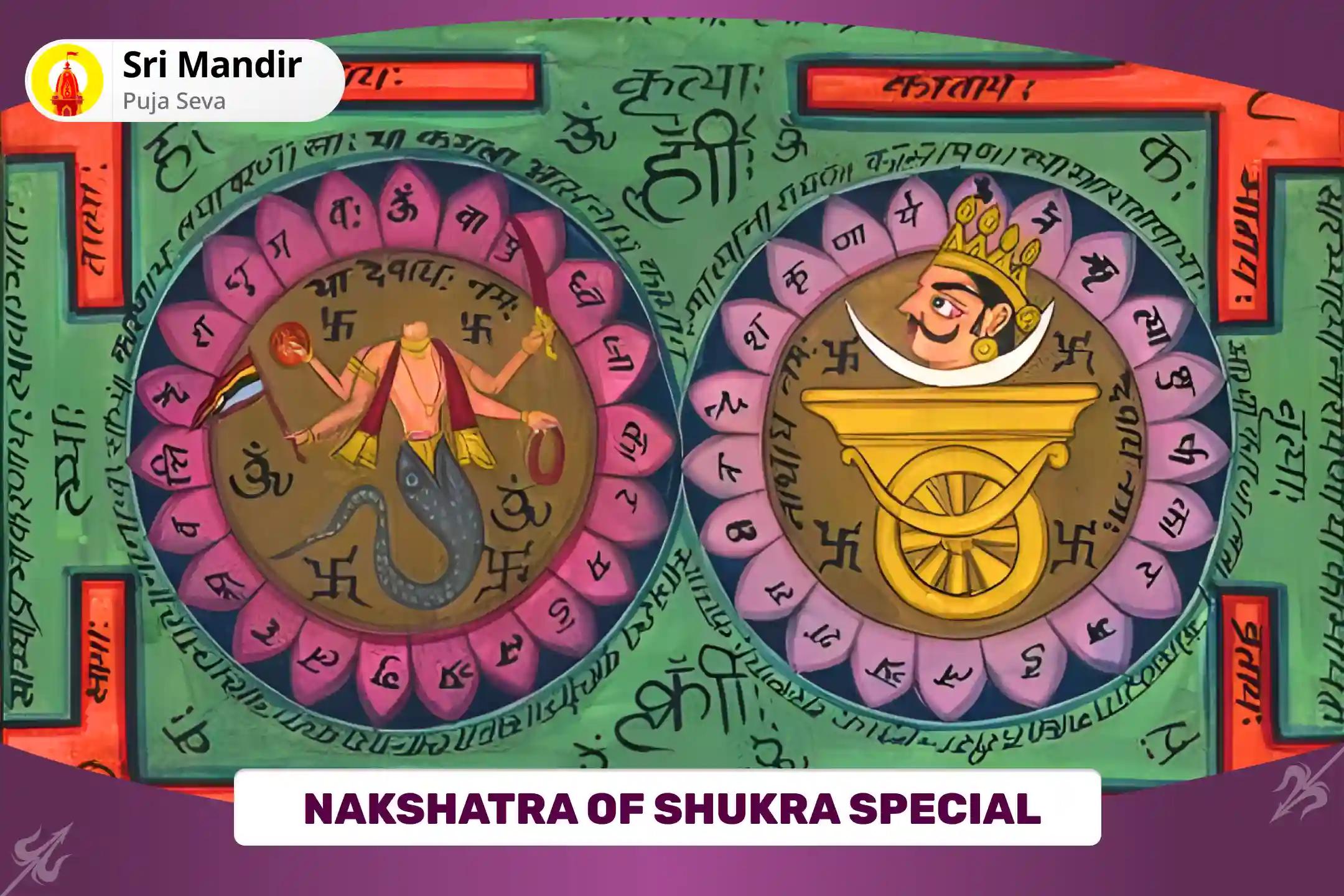 Nakshatra of Shukra Special Rahu-Ketu Peeda Shanti Puja and Shiv Rudrabishek To get Blessing for Mental clarity and Improved Decision-Making